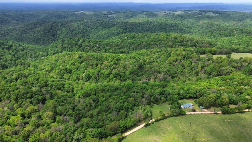 This 103.69-acre property is the ultimate Ozark Mountain hunting retreat. It features flat, oak-topped ridges and a year-round spring-fed creek, offering both natural beauty and dependable water that will never run dry. There’s miles of established trails, making it easy to access every corner of the property by ATV, whether you’re hunting, exploring, or simply enjoying the outdoors. The timber consists primarily of oak and hickory, with a few scattered cedars adding to the diversity of the landscape. Wildlife thrives here, making it a prime destination for deer, turkey, and small game hunting. For those looking to establish a permanent base camp, the property includes electricity at the road and an old hunting cabin that could be renovated or replaced. With its combination of natural resources and recreational potential, this property is well-suited for a permanent hunting camp or family retreat, priced for only $229,900.
