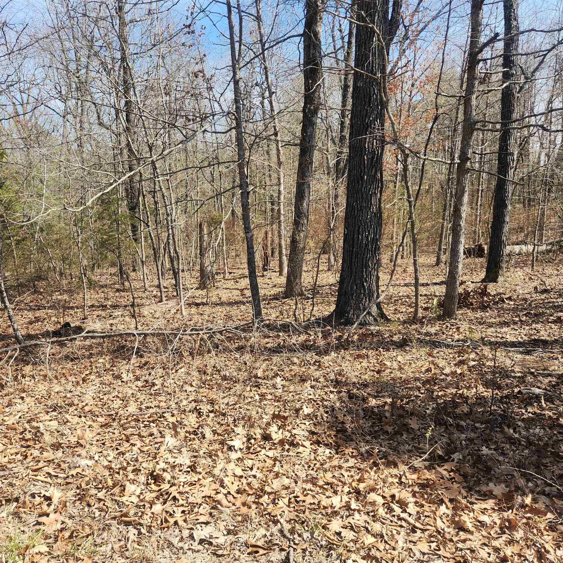 Choctaw Fifth - Land