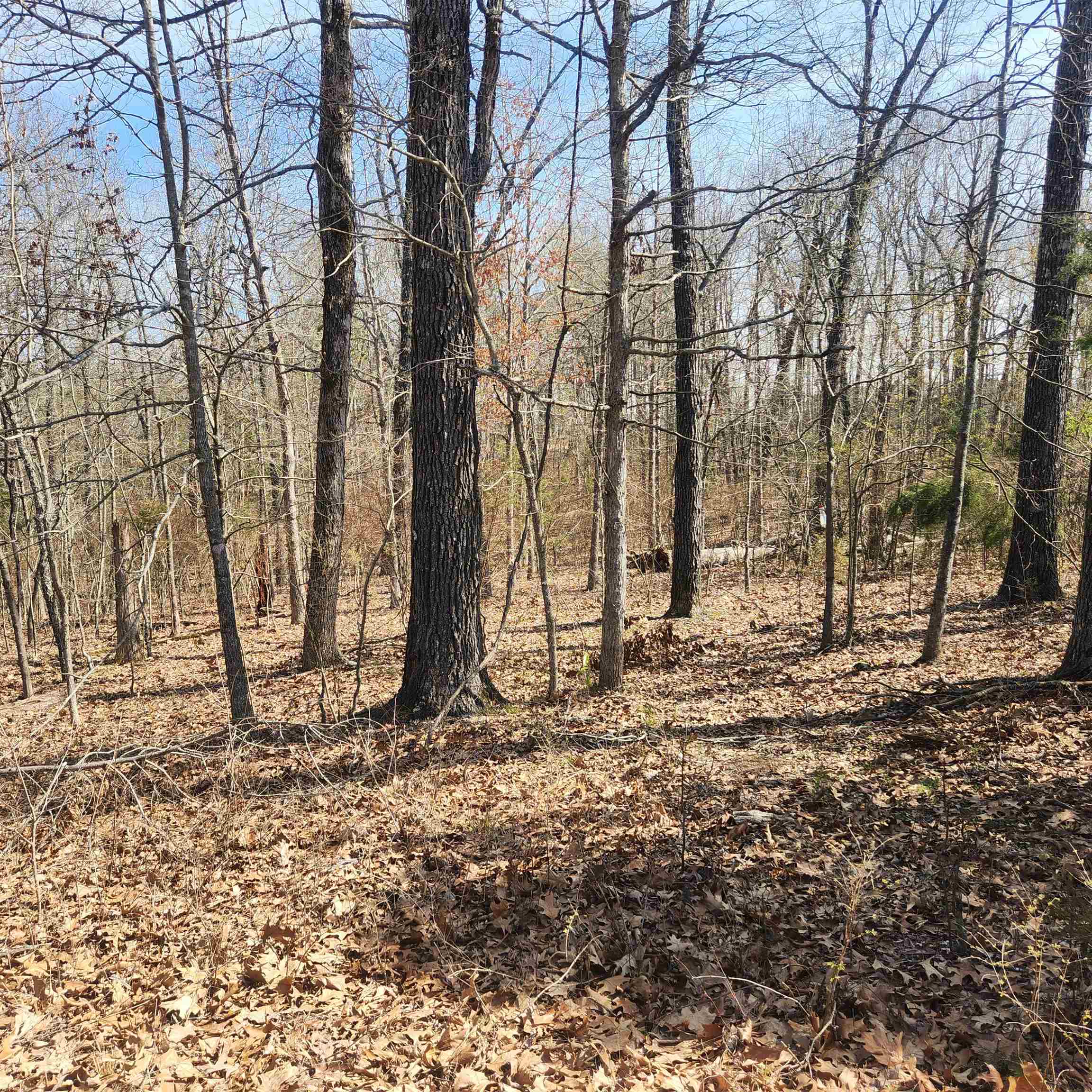 Choctaw Fifth - Land