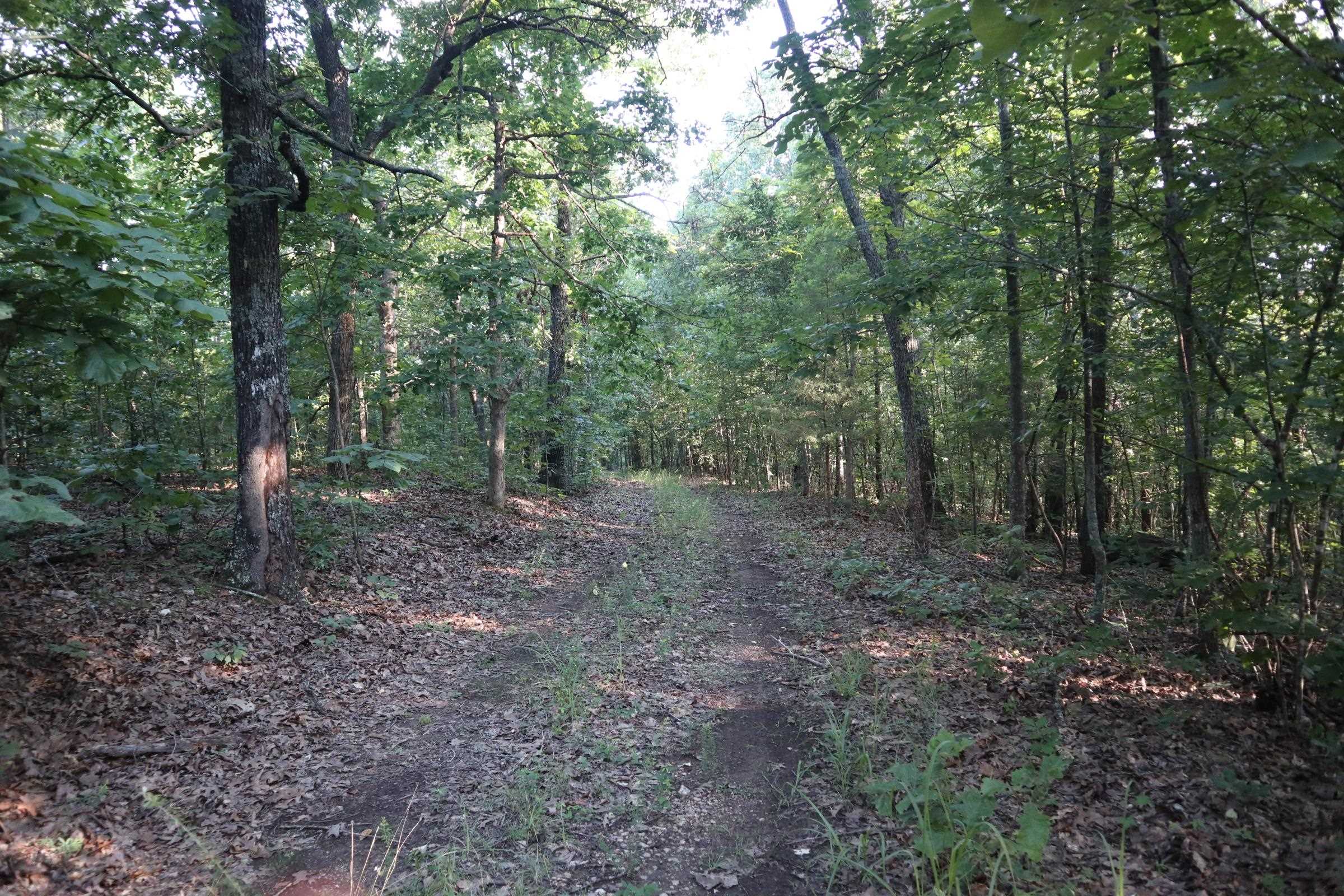 HUNTING PROPERTY AND RECREATIONAL LAND FOR SALE ASH FLAT AR Property is located just off of Wynona Rd, Ash Flat, AR. This 40 acre wooded tract is very private and secluded. It consist mainly of mature hardwood timber. It includes a 12 x 18 building that could be used as a small cabin. It is off grid and would be ideal for your weekend get away. It has plenty of wildlife including whitetail deer and turkey. There is an easement that goes through part of the property. The property joins the back side of Cherokee Village. Spring River, Southfork River and Lake Norfork are within 15-45 minutes. Located within minutes of Old Hardy Town which features shops and additional recreation. The real estates taxes last year were $39.68. You can own your piece of the Arkansas Ozarks.