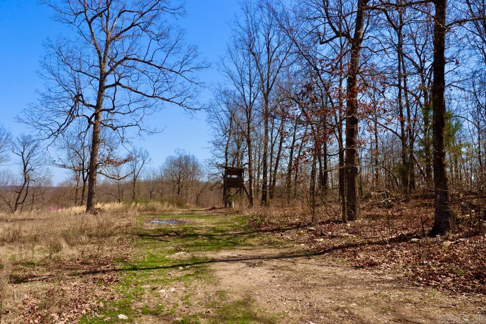 Metes & Bounds - Land