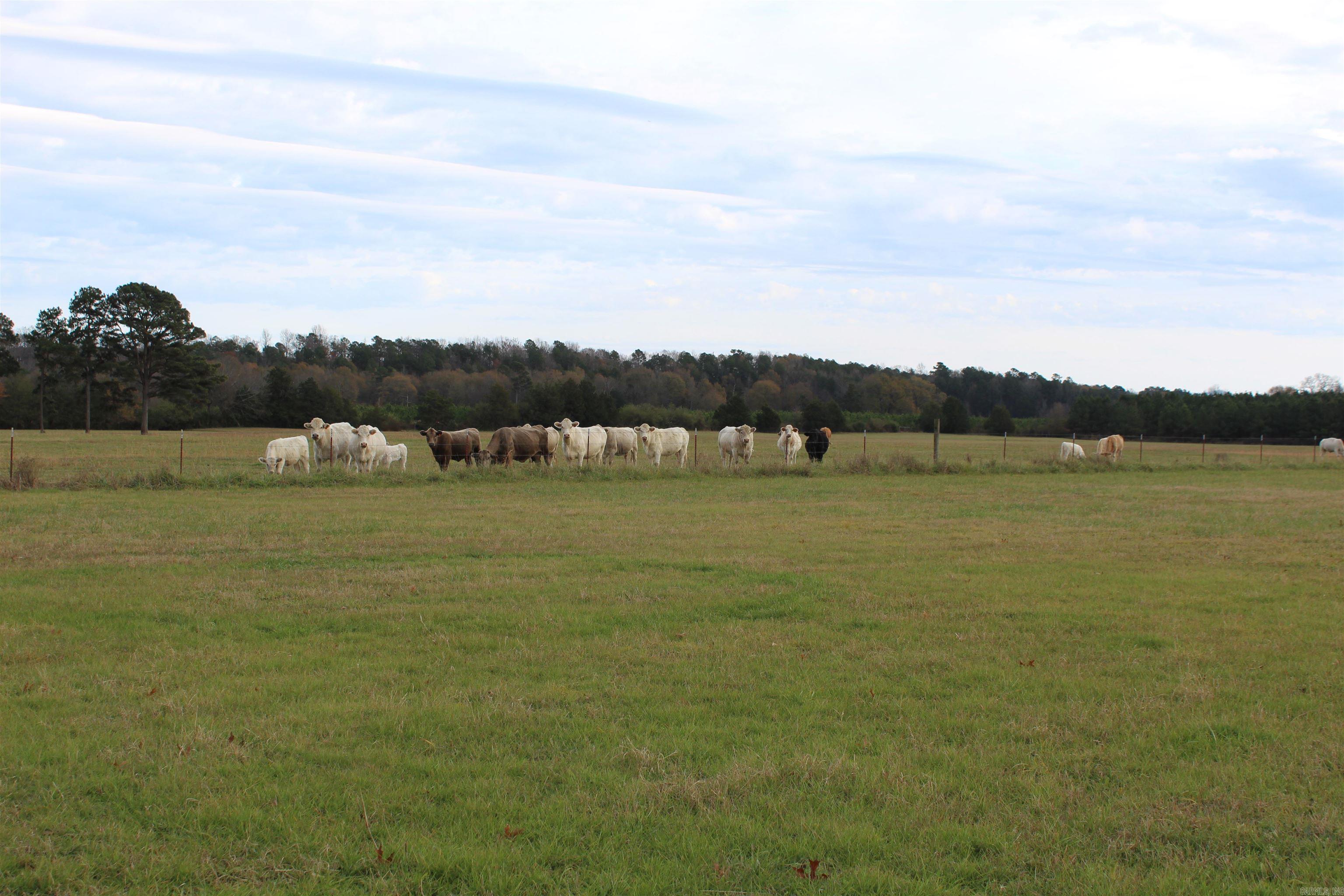 Not in Subdivision - Land