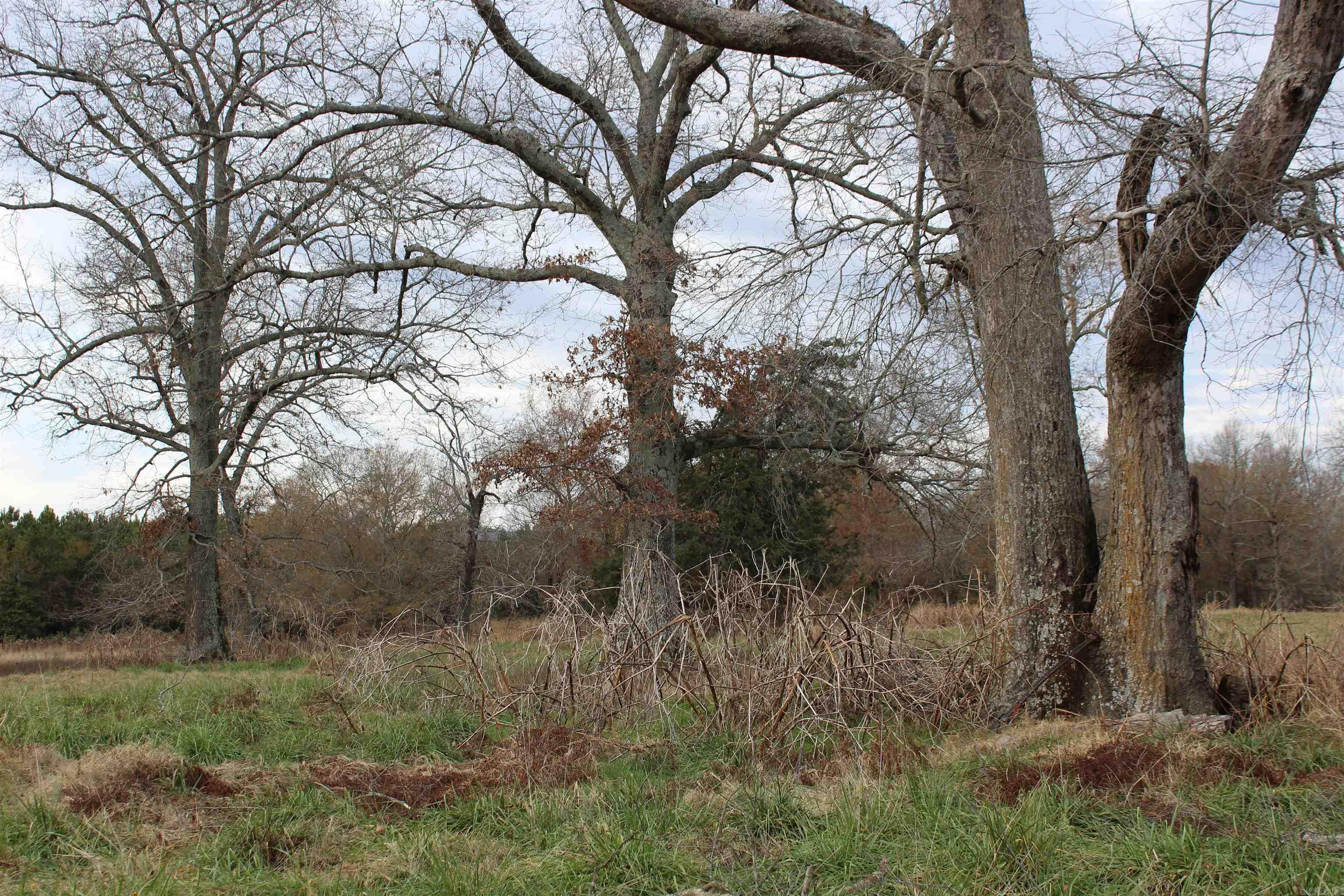 Not in Subdivision - Land