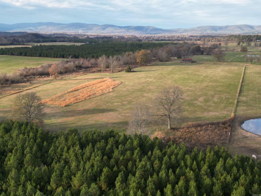 Escape to this nice parcel of land. This expansive property boasts lush pasture lands, a sturdy hay barn, and a well-maintained new fence for added security. A good road leads you into this tucked-away spot. Perfect for nature lovers, the strategically designed bedding areas attract local wildlife, making it a haven for deer. Enjoy privacy and space while still being conveniently accessible to Mena. Ideal for farming, equestrian pursuits, or simply embracing the joys of rural living. Please call today for driving directions or to schedule your private tour.