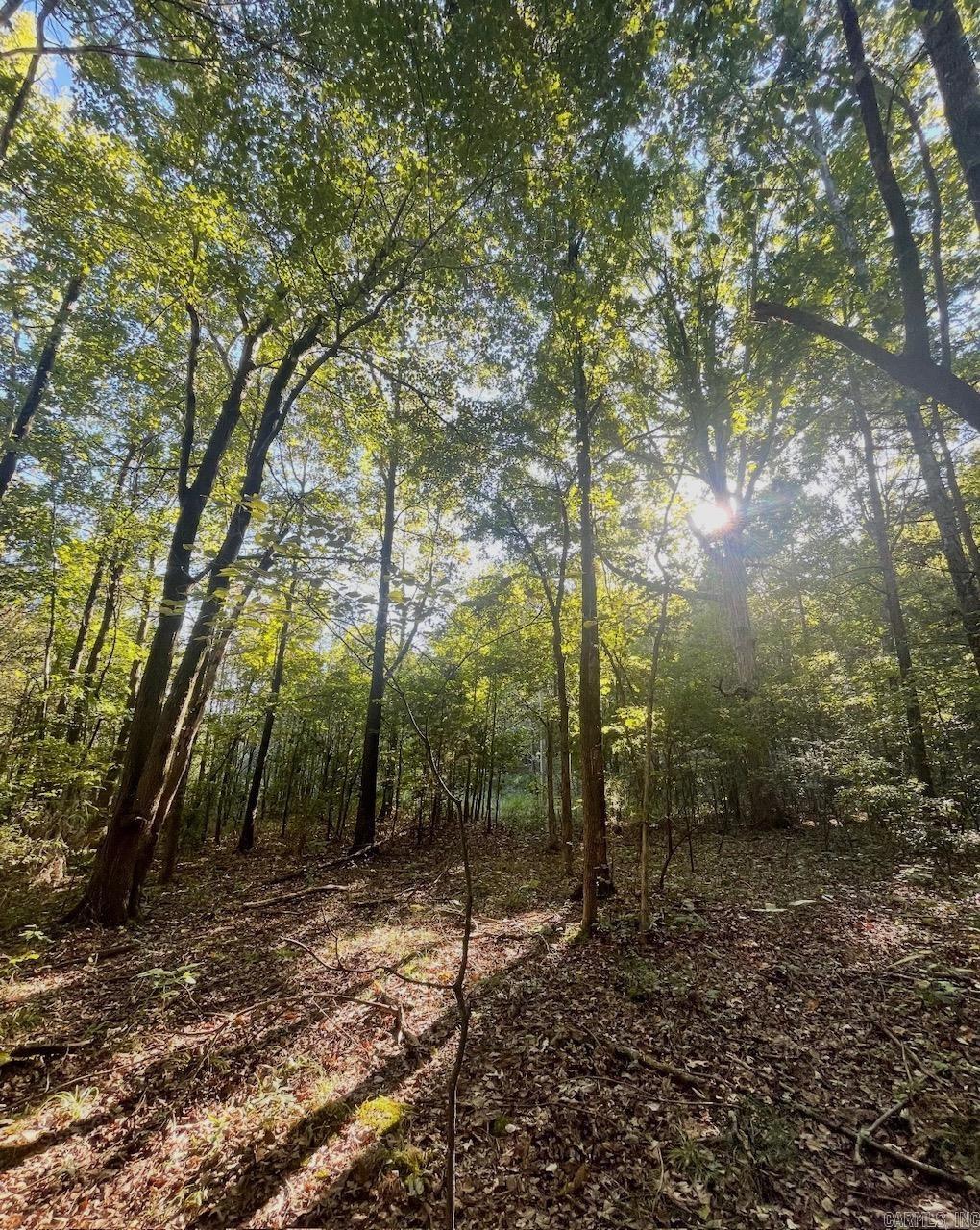 Westwood Acres - Land