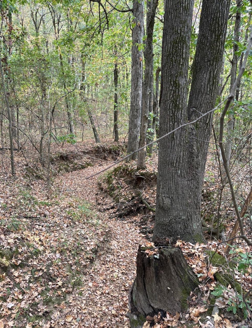 Westwood Acres - Land