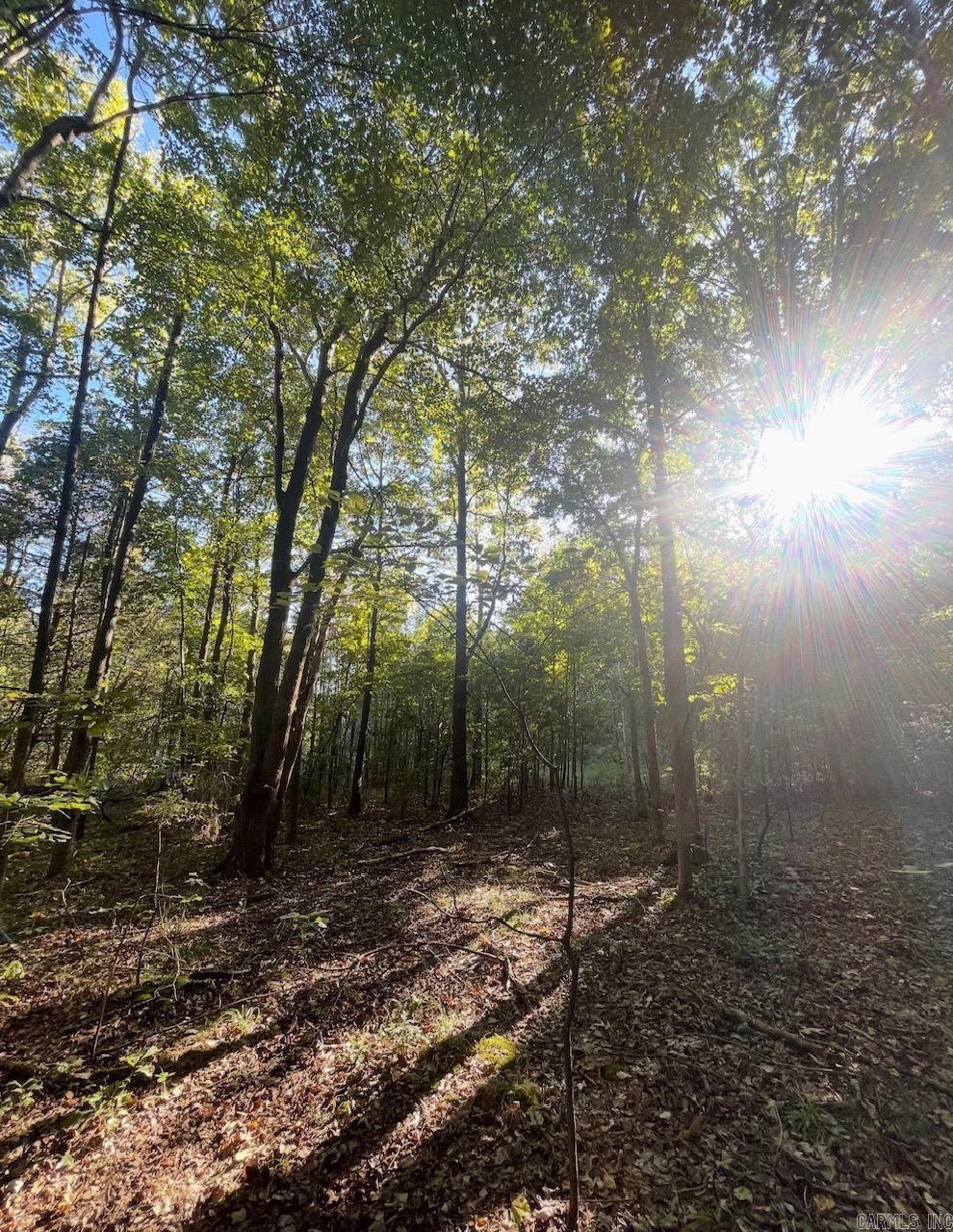 Westwood Acres - Land