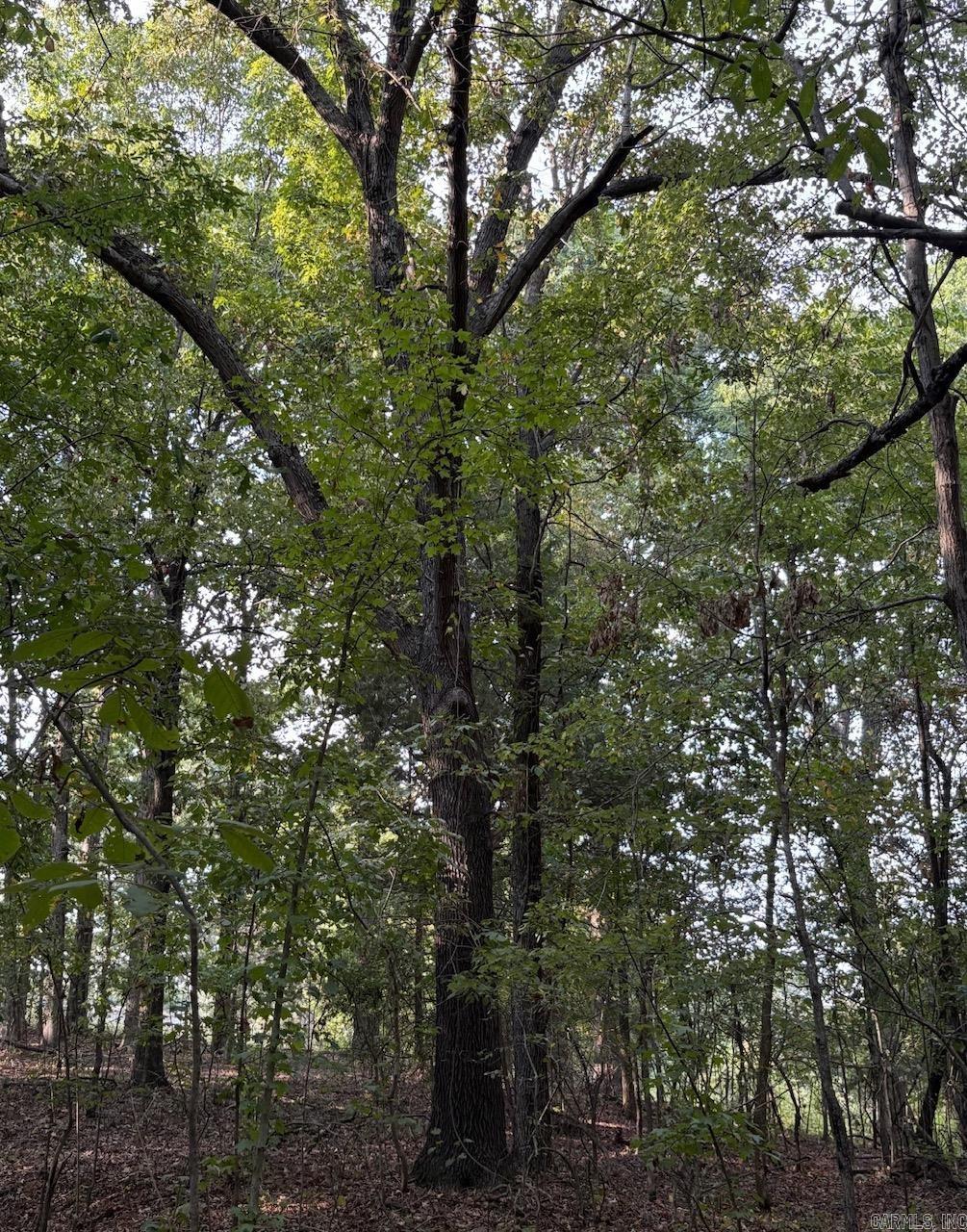 Westwood Acres - Land