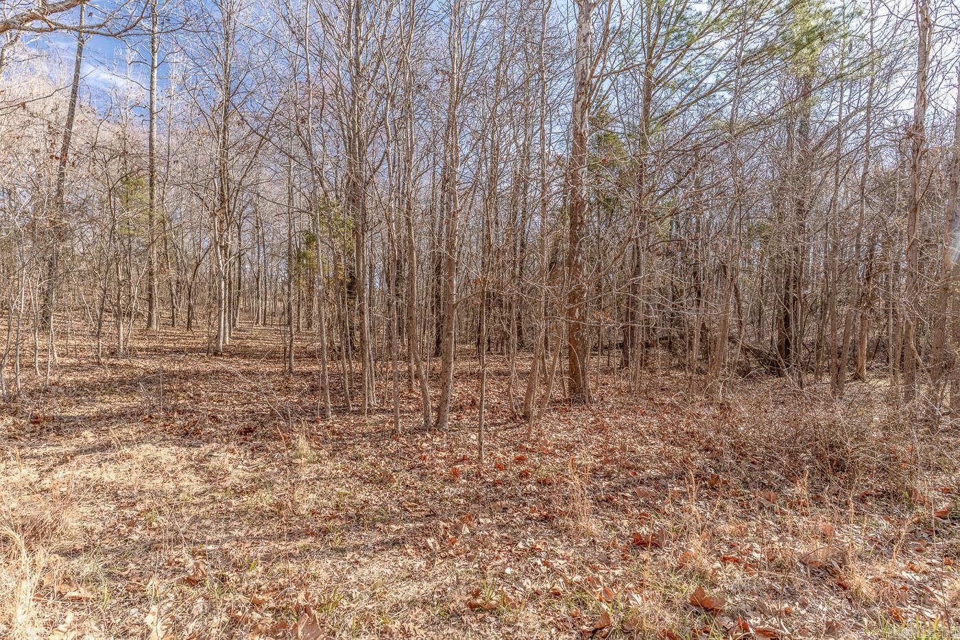 Westwood Acres - Land