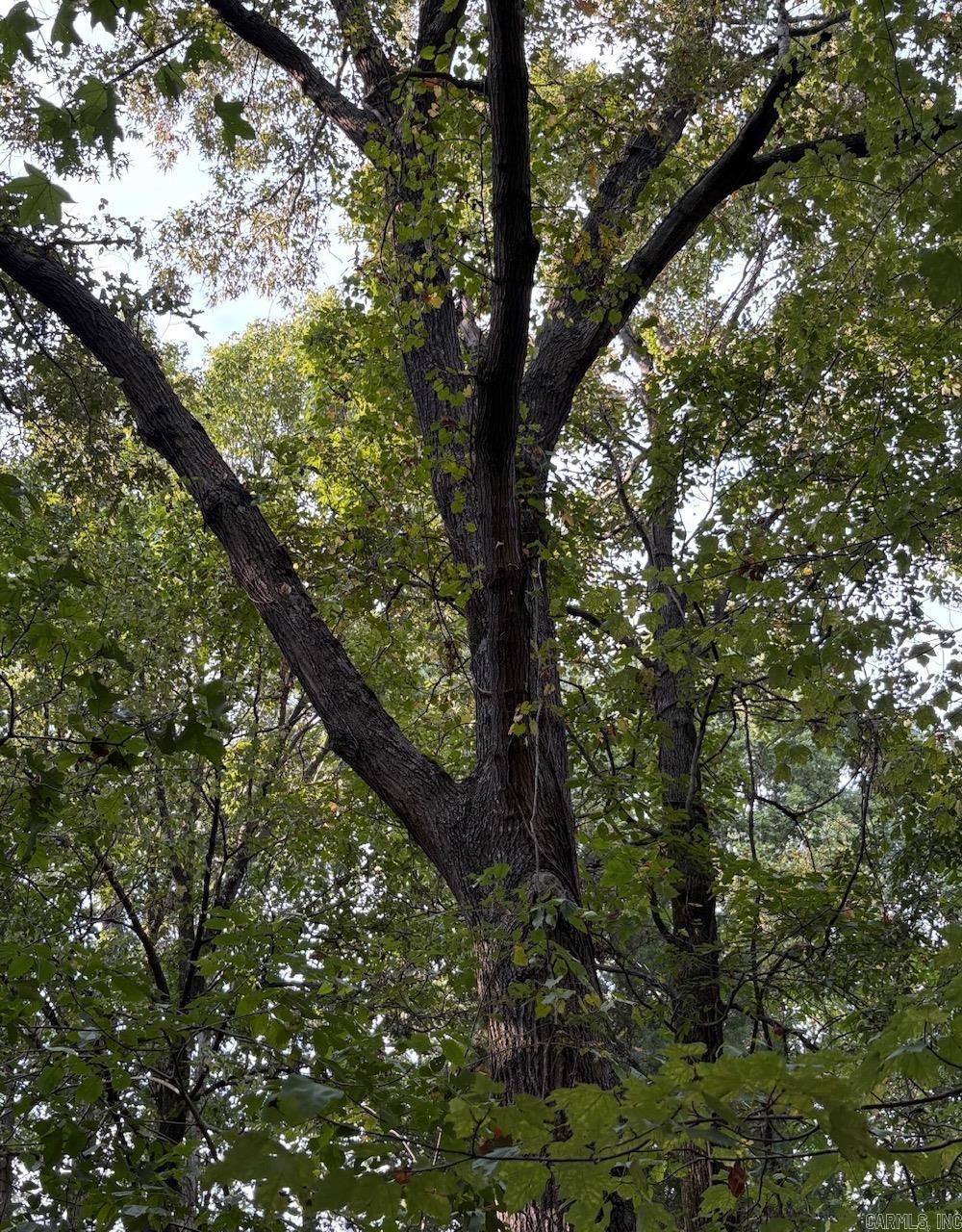 Westwood Acres - Land