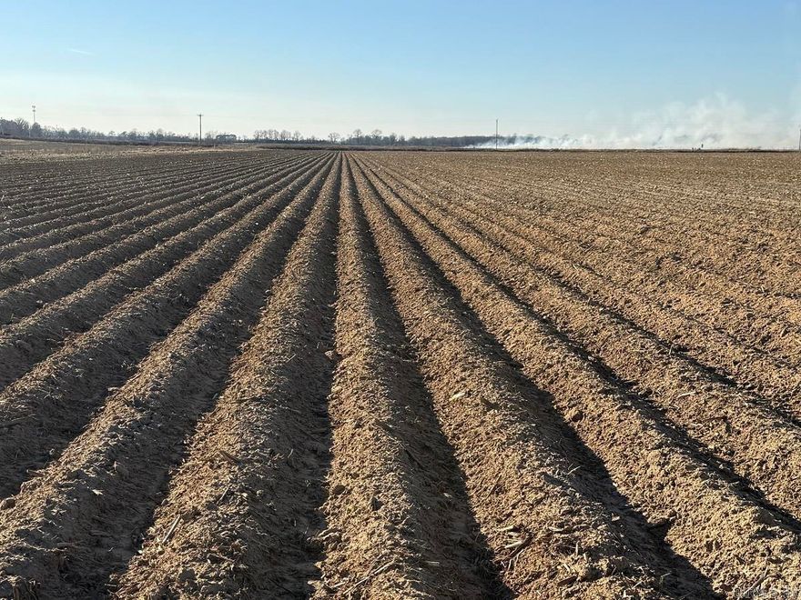 ONLINE ONLY AUCTION! 151 Acres +/- of farmland in Clay county being offered in 3 tracts. Tract 1: 51.4± acres (49.67 FSA Tillable),Tract 2: 80± acres (72.61 FSA Tillable), and Tract 3: 19.86± acres (17.73 FSA Tillable). Bid now through January 30 at 6:00 PM. More information is available for the tracts and the auction upon request. To be offered on Hibid. Farmland.hibid