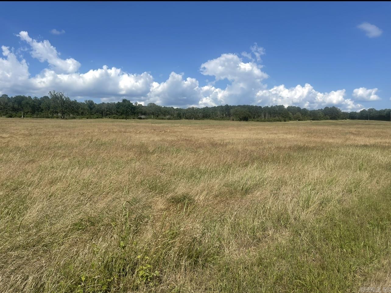 40 acres of pasture land and timber. Beautiful views! Rural water available. Can be purchased with adjoining 80 acres. Reach out to listing agent for more info.