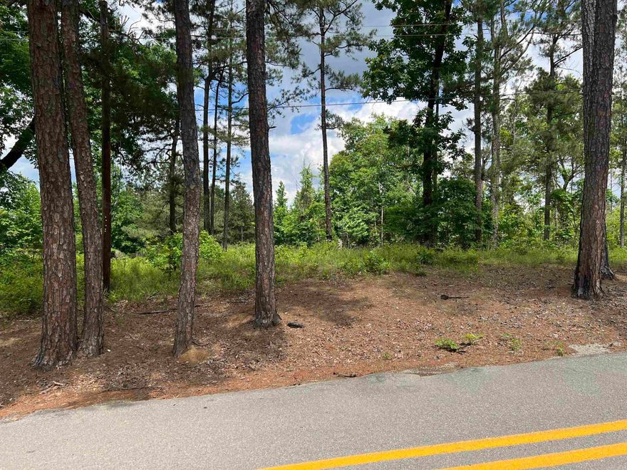 Looking for acreage on paved road very close to two boat ramps,3 miles to Amity landing, Cox creek landing, DeGray Lake. Great place for a vacation cabin or a country home.  2+/- miles from the Caddo river. 4 miles to Amity,  30 minutes from Hot Springs.    This 4.25 acres+/-  is just the place for you.    Public water at the road.