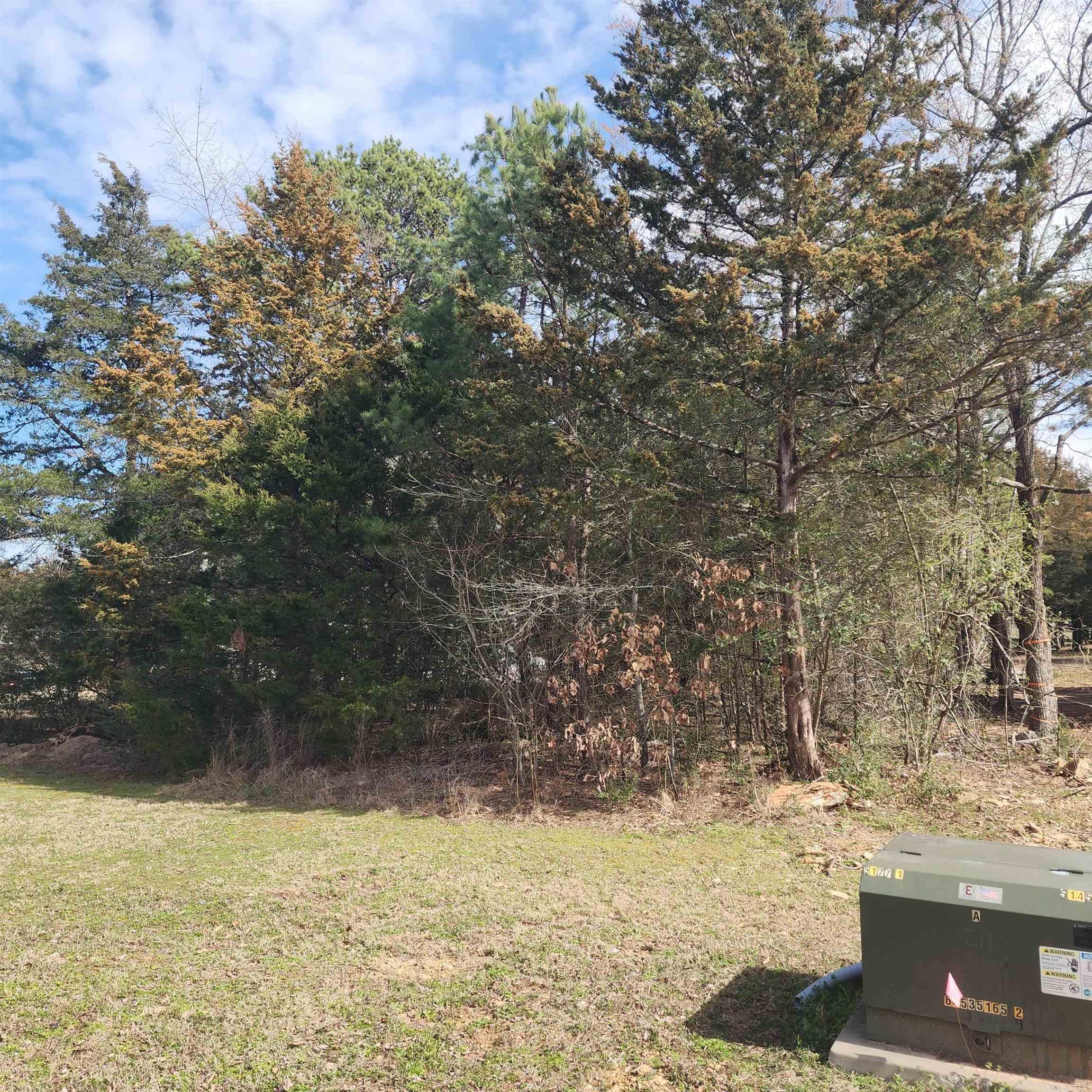 Brighton Pointe - Land