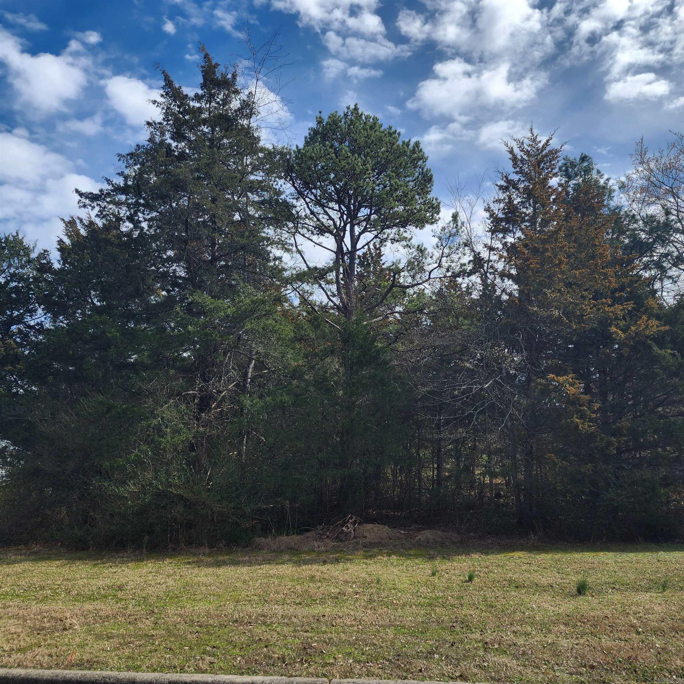 Brighton Pointe - Land