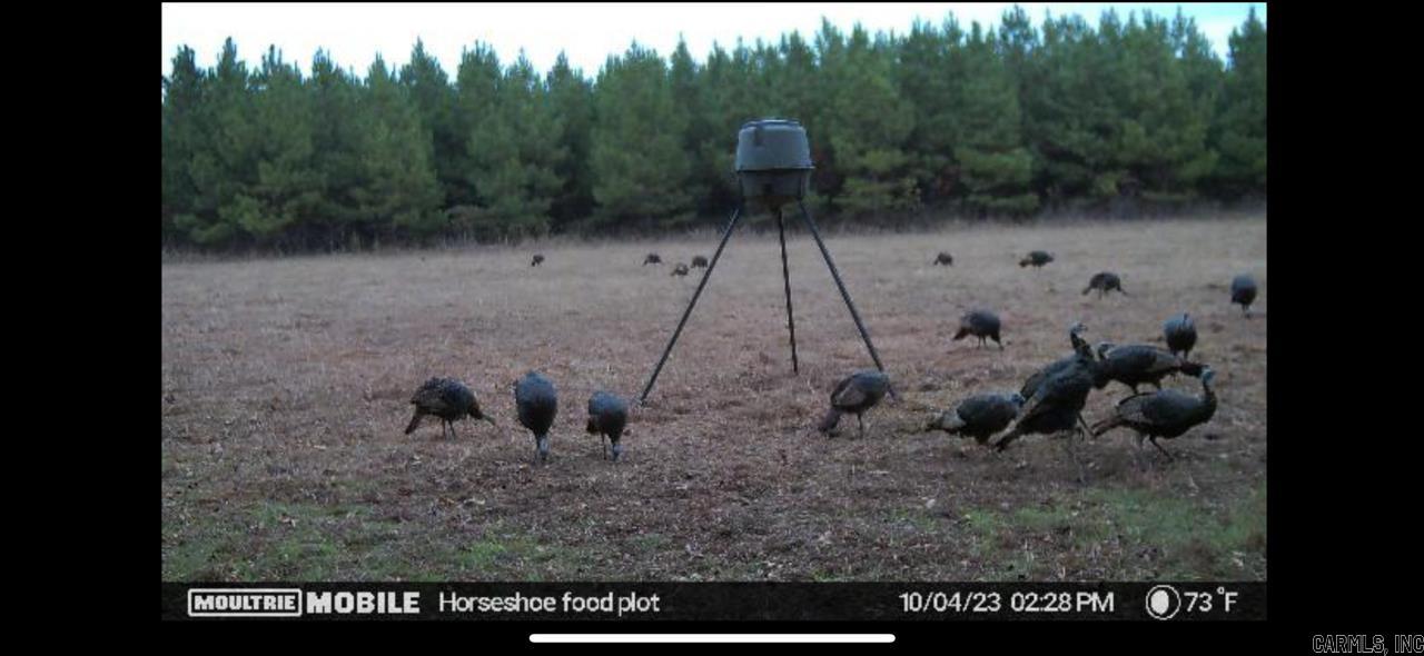 Not in Subdivision - Farm