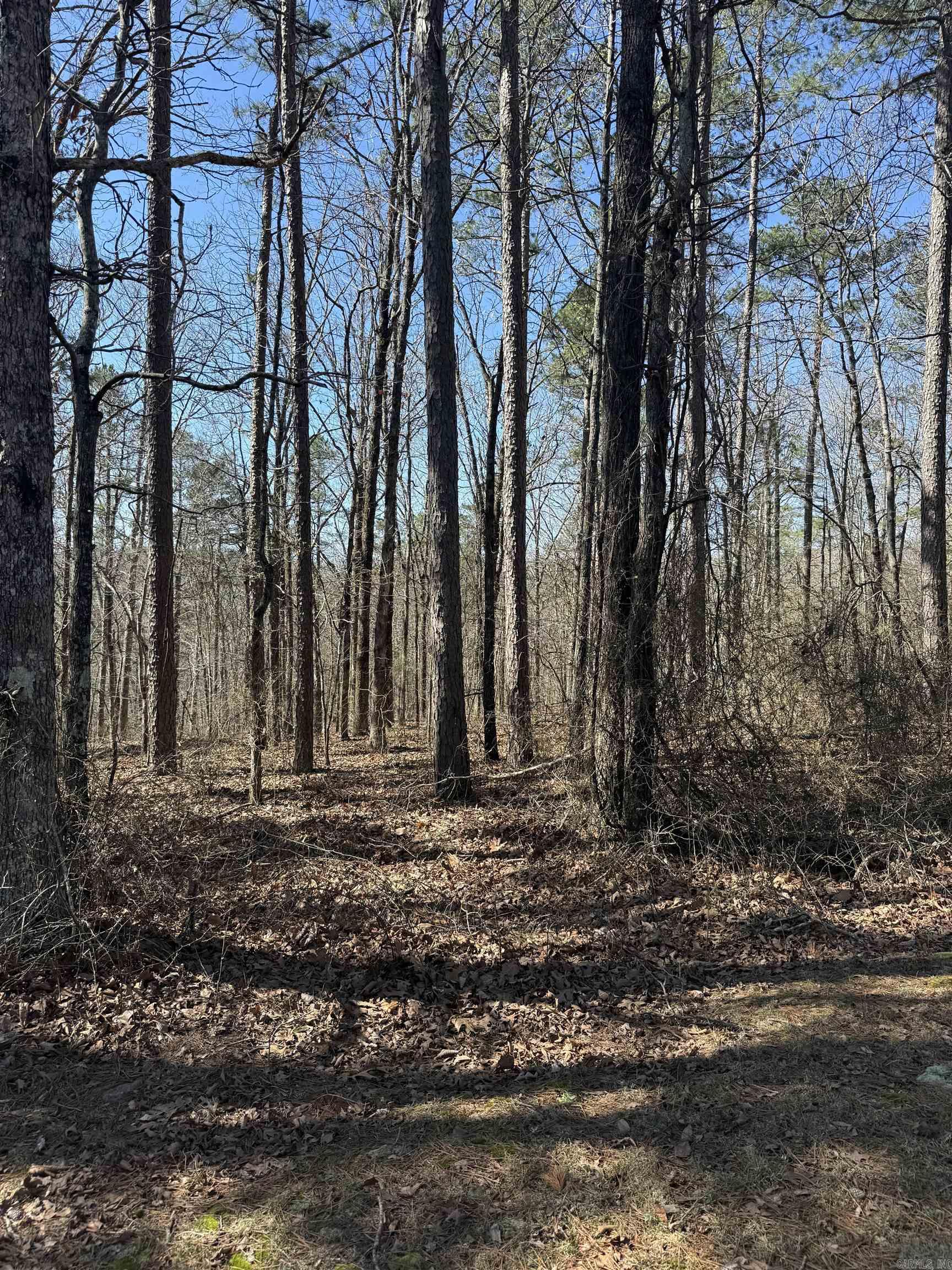 Metes & Bounds - Land