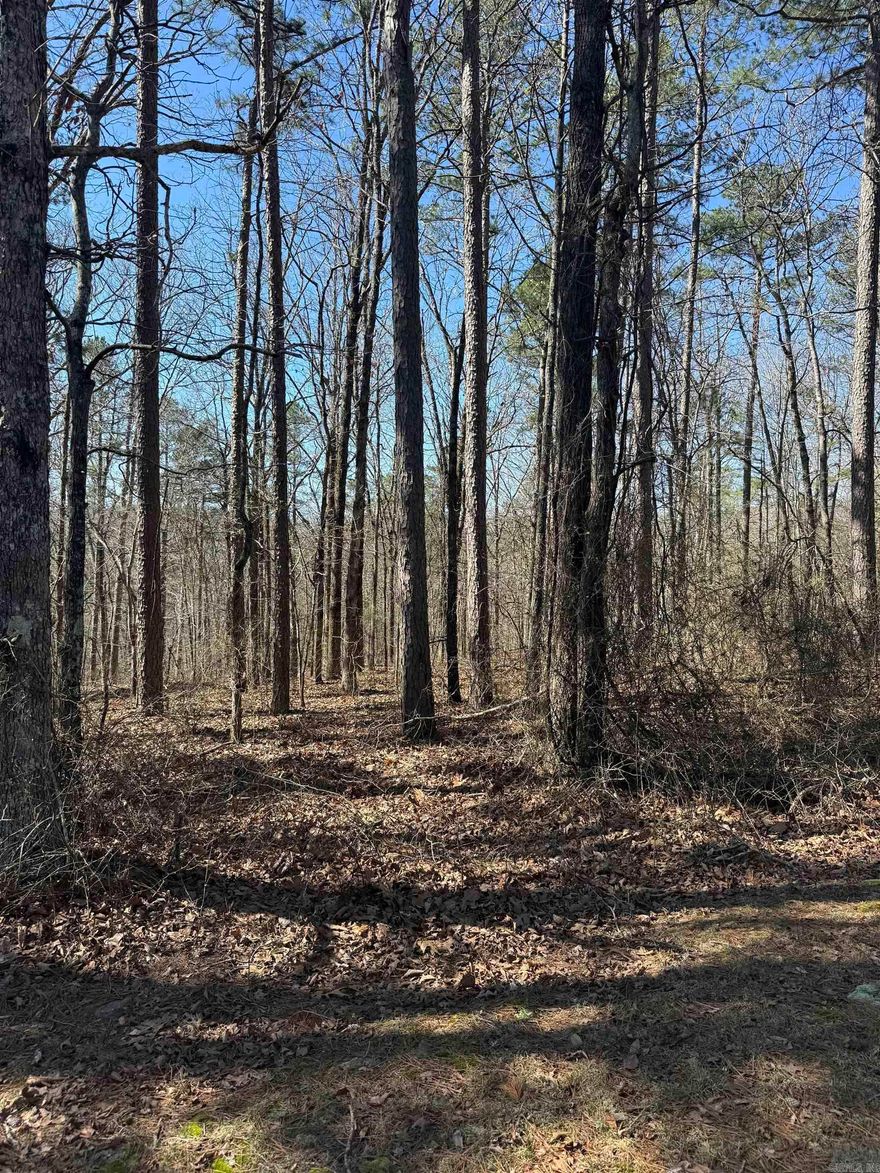 4.65 ACRES M/L UTILITIES AT THE ROAD