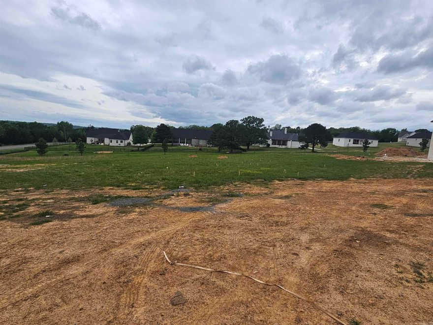 Welcome to a highly desirable neighborhood in the heart of Greenbrier, offering ready-to-build 1-acre homesites that blend space, privacy, and convenience. This subdivision provides the perfect setting to build your dream home with easy access to nearby amenities. Don’t miss your chance to secure your place in this sought-after location! Agents see remarks.