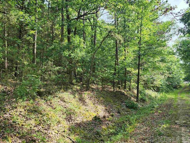 Discover the perfect opportunity to create your dream home or weekend getaway in the charming Ozark lake town of Fairfield Bay, Arkansas. This residential lot provides plenty of space to design and build the home you've always envisioned. Situated just minutes away from the Fairfield Bay Marina and Greers Ferry Lake, you'll have access to endless water-based activities such as boating, fishing, swimming, Fairfield Bay also offers 3 communities pools, mini golf, bowling, pickleball, tennis, restaurants, hundred miles of ATV & hiking/biking trails and so much more Embrace the tranquil atmosphere and breathtaking natural beauty of the Ozarks as you design you forever home or plan your weekend retreat. Don't miss out on the chance to be part of this lake town community, where the beauty of nature merges seamlessly with modern amenities and a relaxed lifestyle.