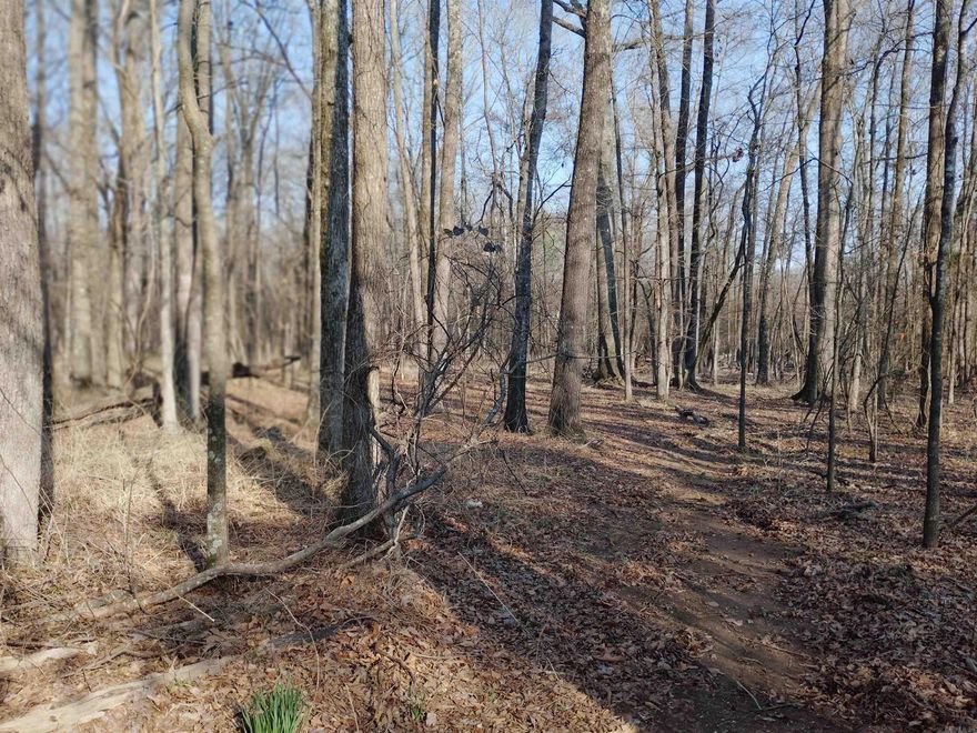 Prime 5-Acre Wooded Lot – Endless Potential in Jacksonville! Discover the perfect opportunity to build your vision on this beautiful 5-acre wooded tract in the outskirts of Jacksonville! Whether you're looking to develop a private residential retreat or explore commercial possibilities, this versatile property offers exceptional potential. Property Highlights: *5 full acre of natural, wooded land *Gently rolling terrain with beautiful creek *Ideal for residential home site or potential commercial use (verify zoning) *Peaceful setting with mature trees for privacy *Convenient access to main roads and local amenities *Located just minutes from shopping, dining, schools, and major highways, this property provides the perfect blend of convenience and seclusion. Enjoy a rural vibe while staying within easy reach of the Little Rock metro area. *Build your dream home tucked among the trees *Explore business or investment possibilities  Opportunities like this don’t last long — secure your slice of heaven today