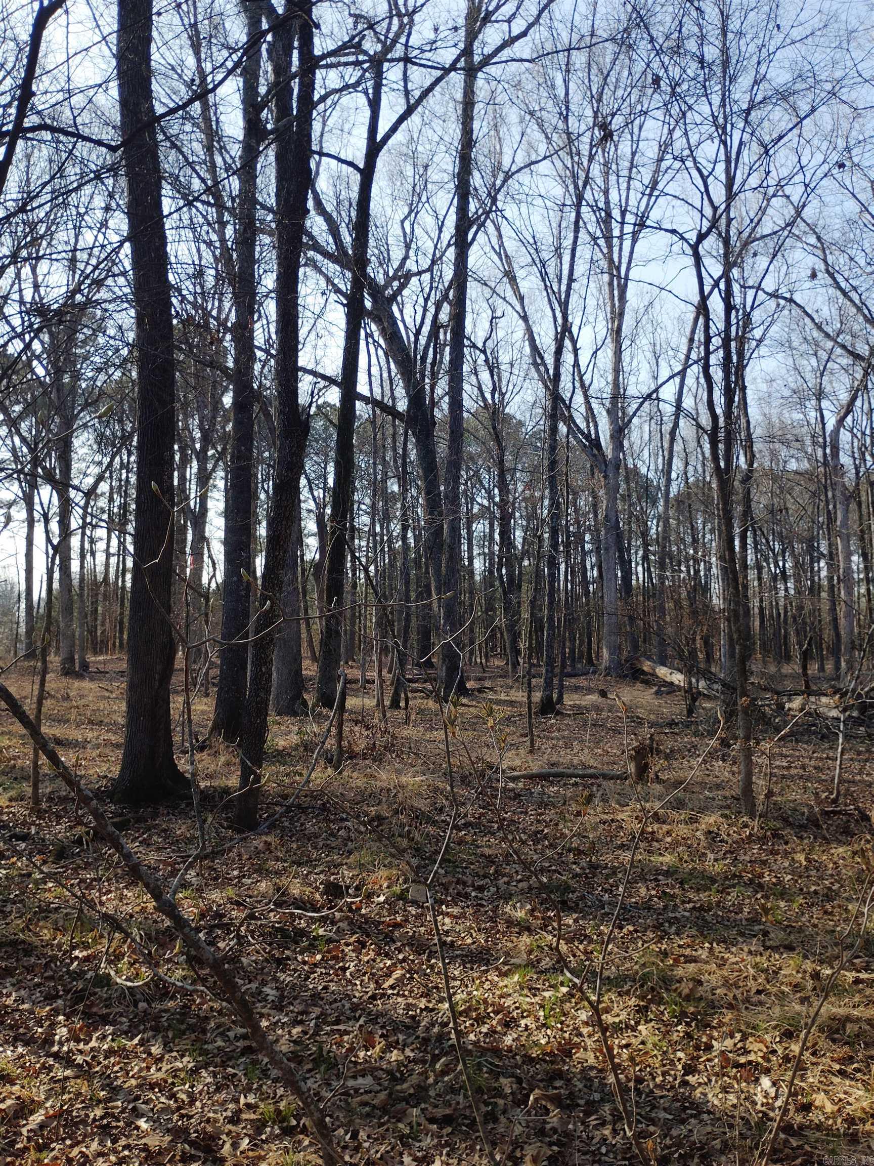 Not in Subdivision - Land