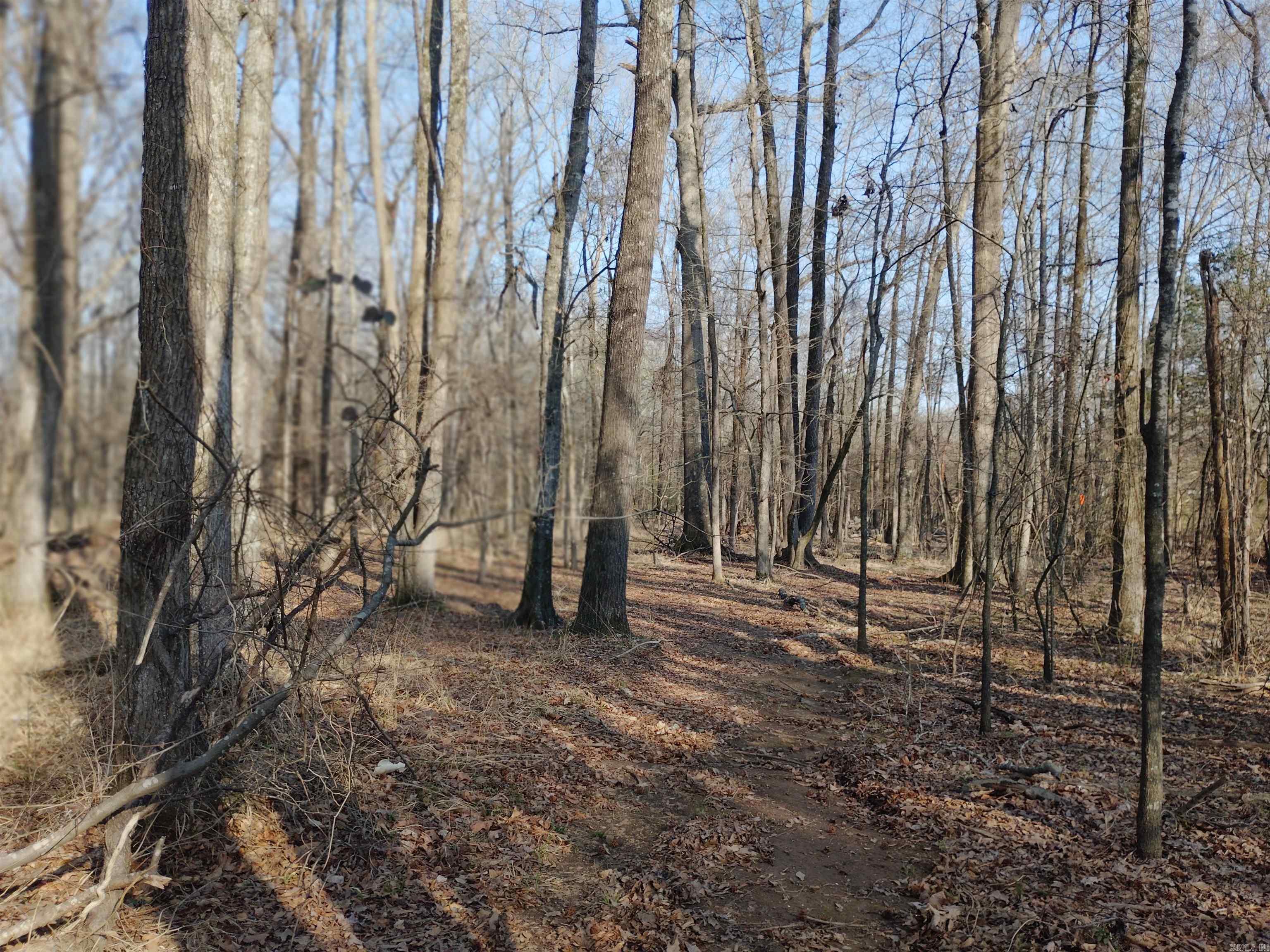 Not in Subdivision - Land