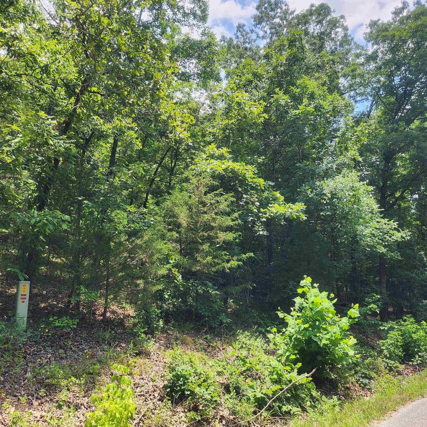 Wonderful and wooded lot in the heart of Cherokee Village. Secluded and away from it all. Buy this lot and pick your spot to build your dream home or just a getaway cabin. With ownership of this lot you have access to all the amenities of Cherokee Village such as the lakes and golf courses and Thunderbird Center and swimming pool, mini golf, parks, hiking trails and don't forget about the beautiful Southfork River.