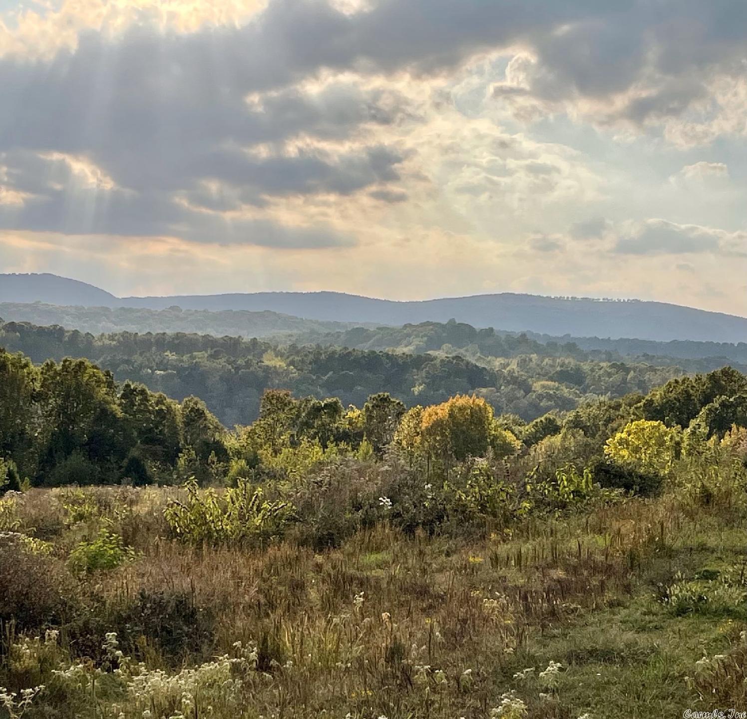 Metes & Bounds - Farm