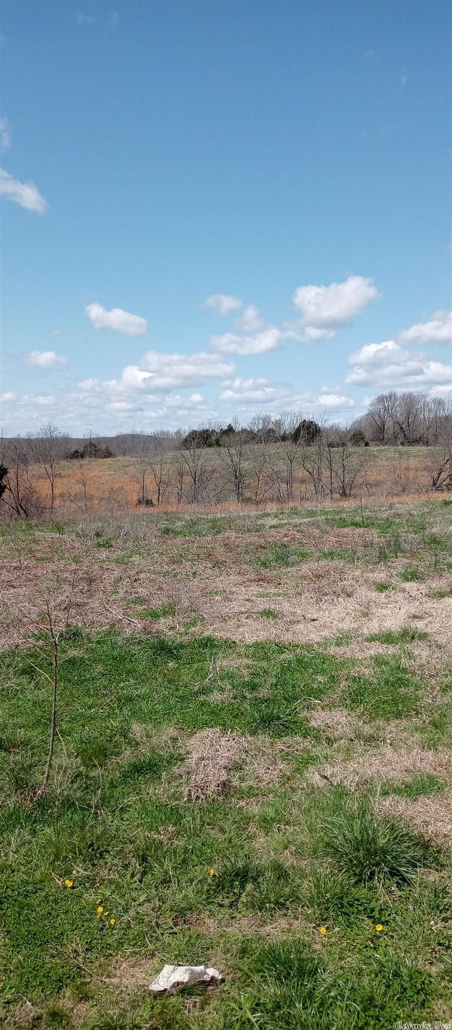 If your looking for a view with space close to town this is definitely for you has multiple building spots with awesome views just minutes from town and the Ozark Folk center. Also would make great little farm has nice pond and pasture