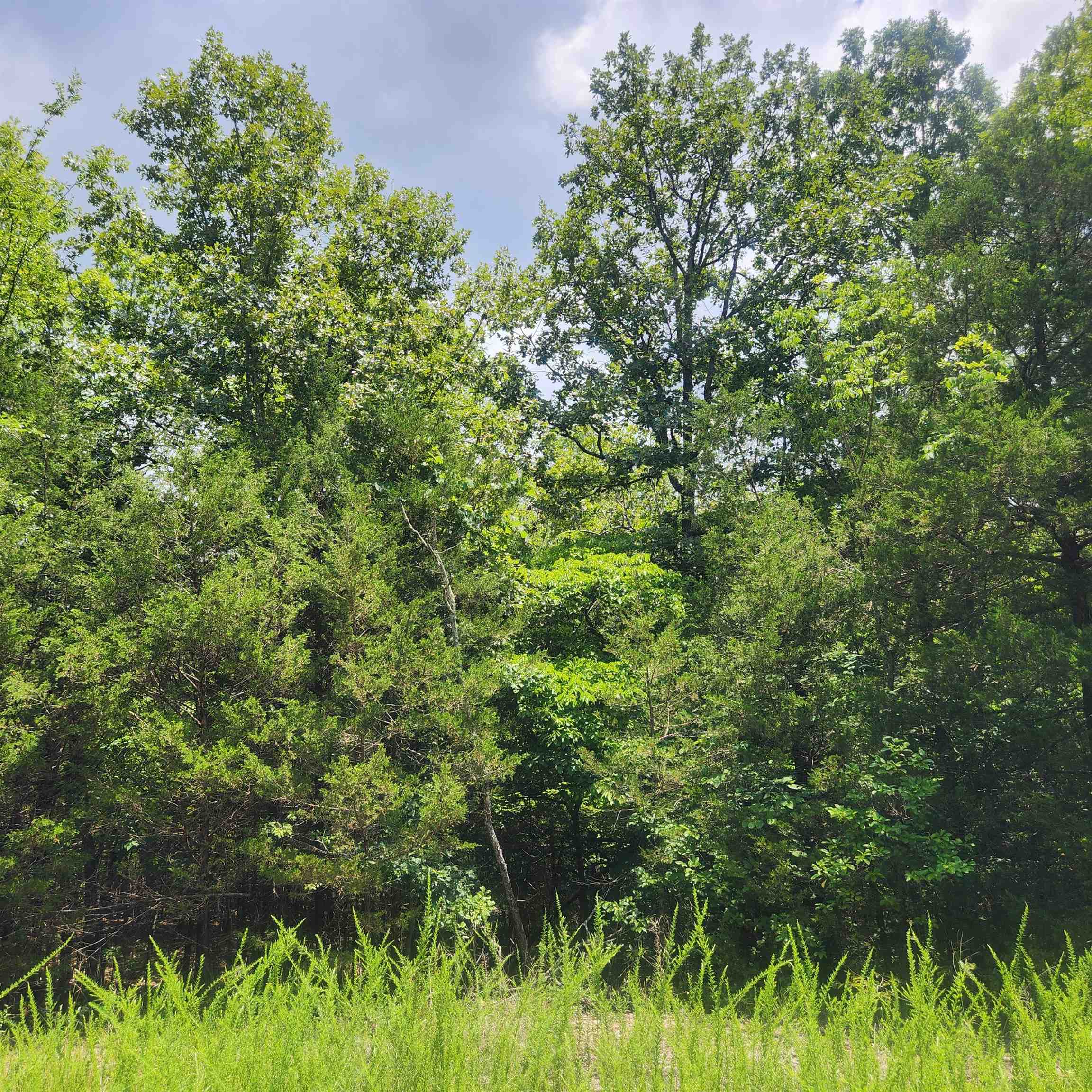 Shawnee - Land