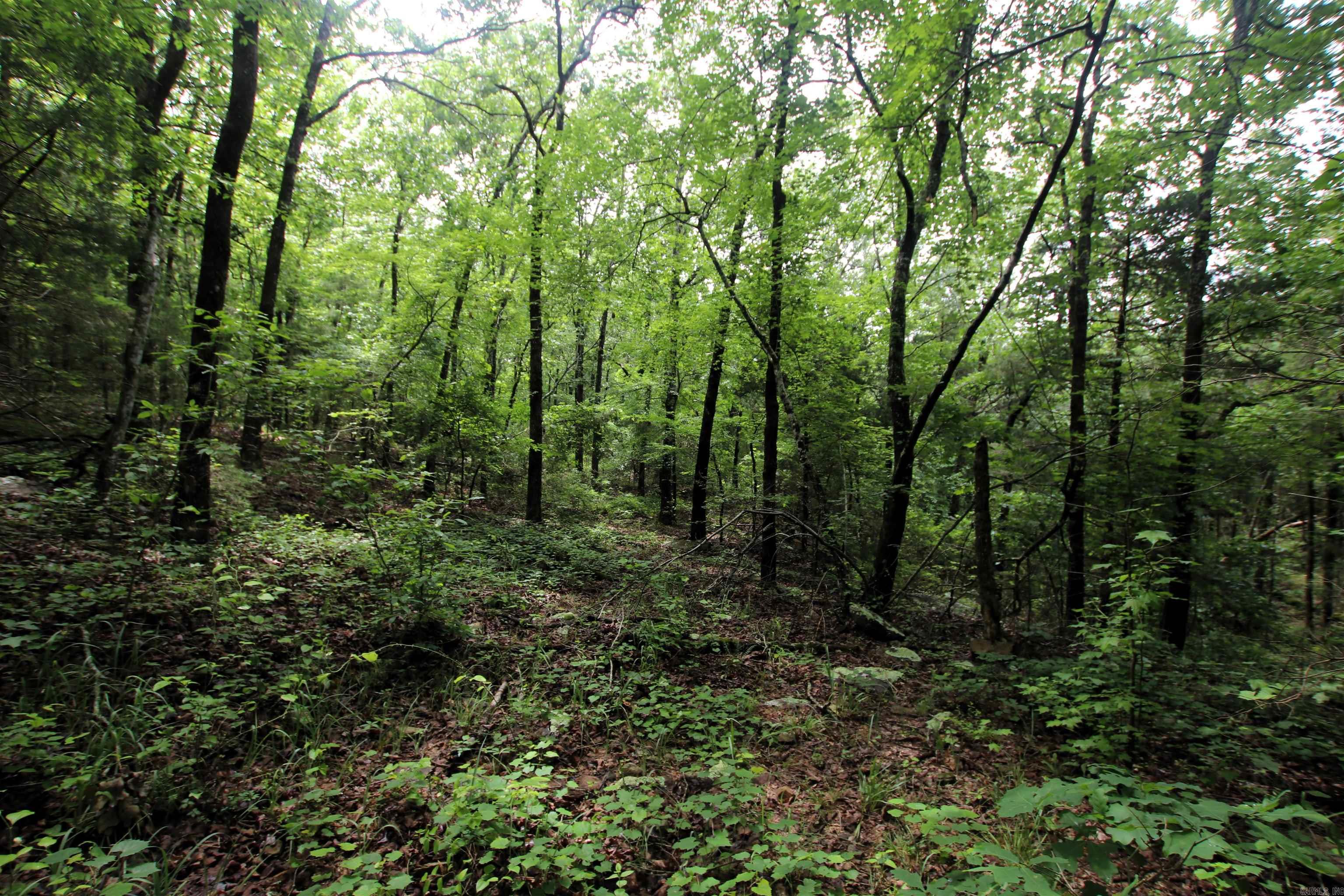 Not in Subdivision - Land