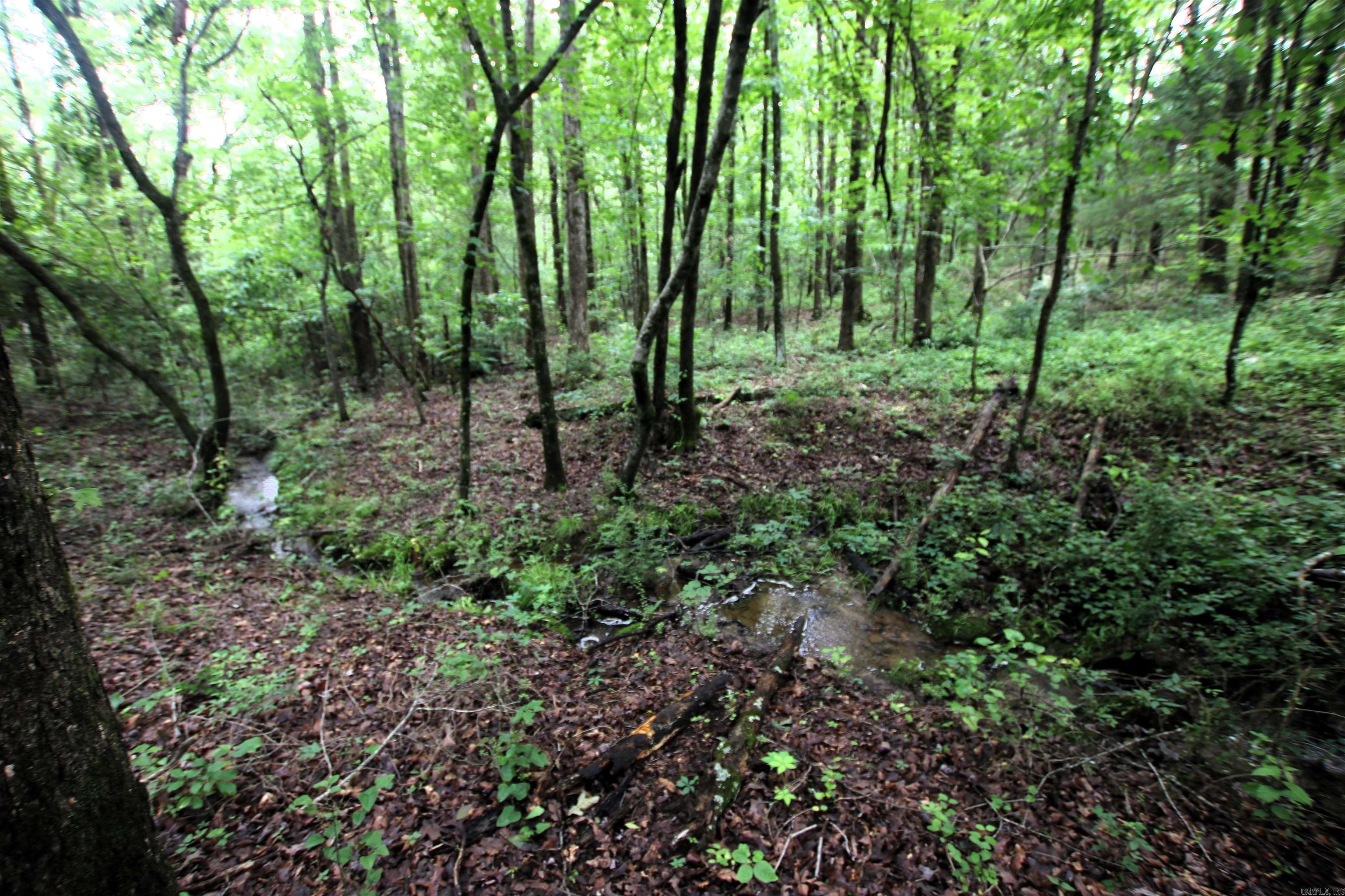 Not in Subdivision - Land