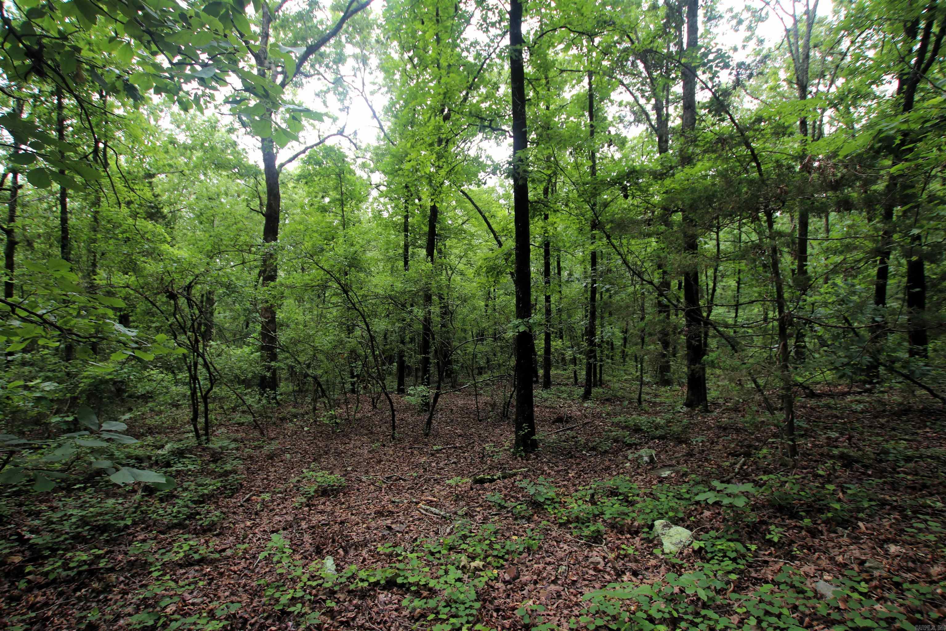 Not in Subdivision - Land