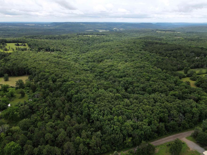 - 17 +/- acres of timber - Numerous build sites - Utilities on the property - Mature hardwood mix - Heavy mast producing trees - County road frontage - Great topography - Wet weather creek - 8 miles to Clinton - 25 miles to Greenbrier