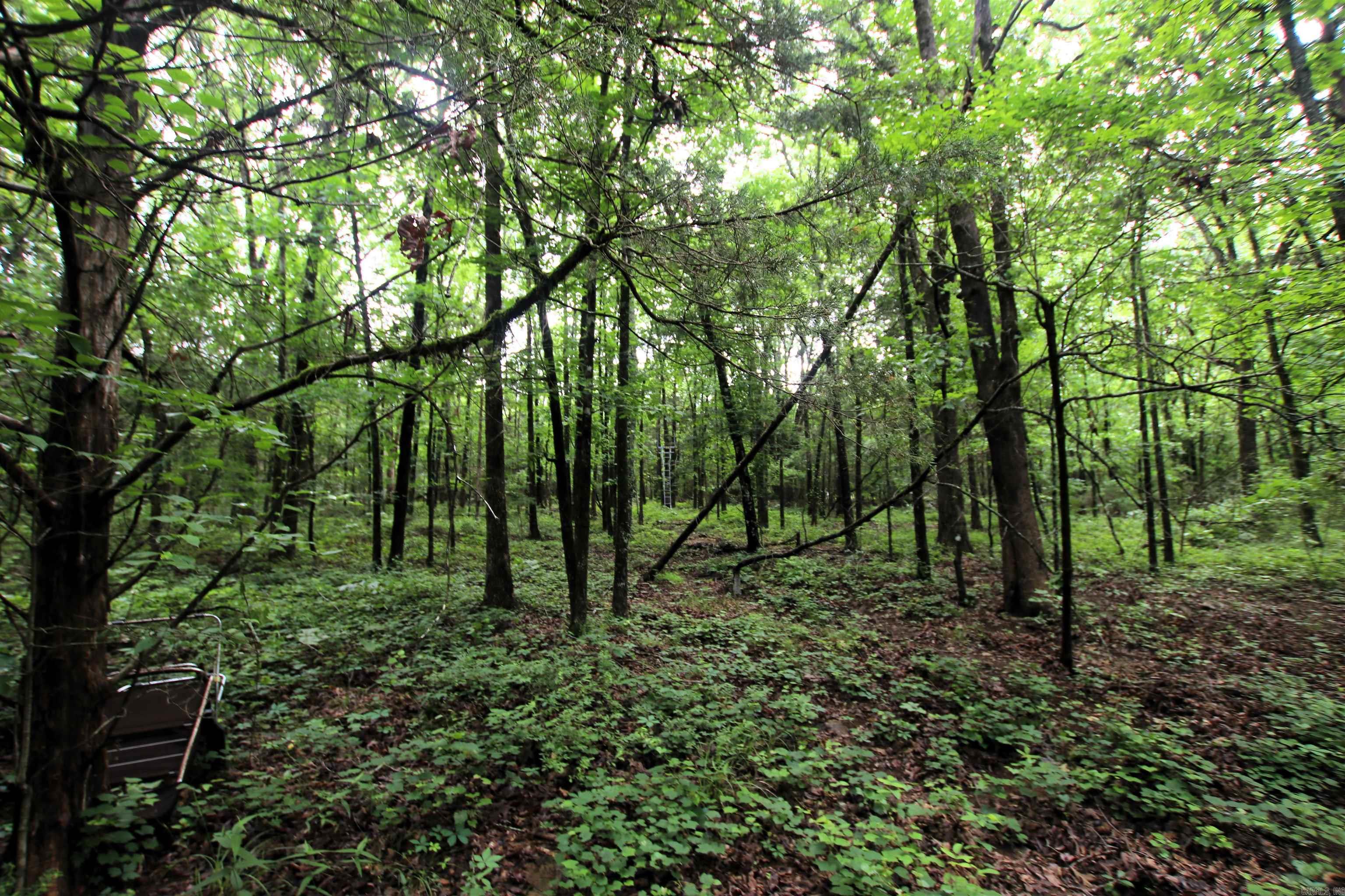 Not in Subdivision - Land