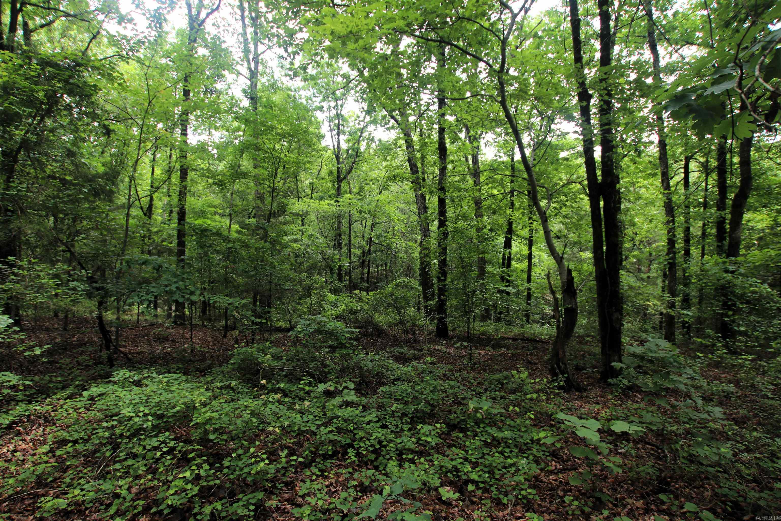 Not in Subdivision - Land