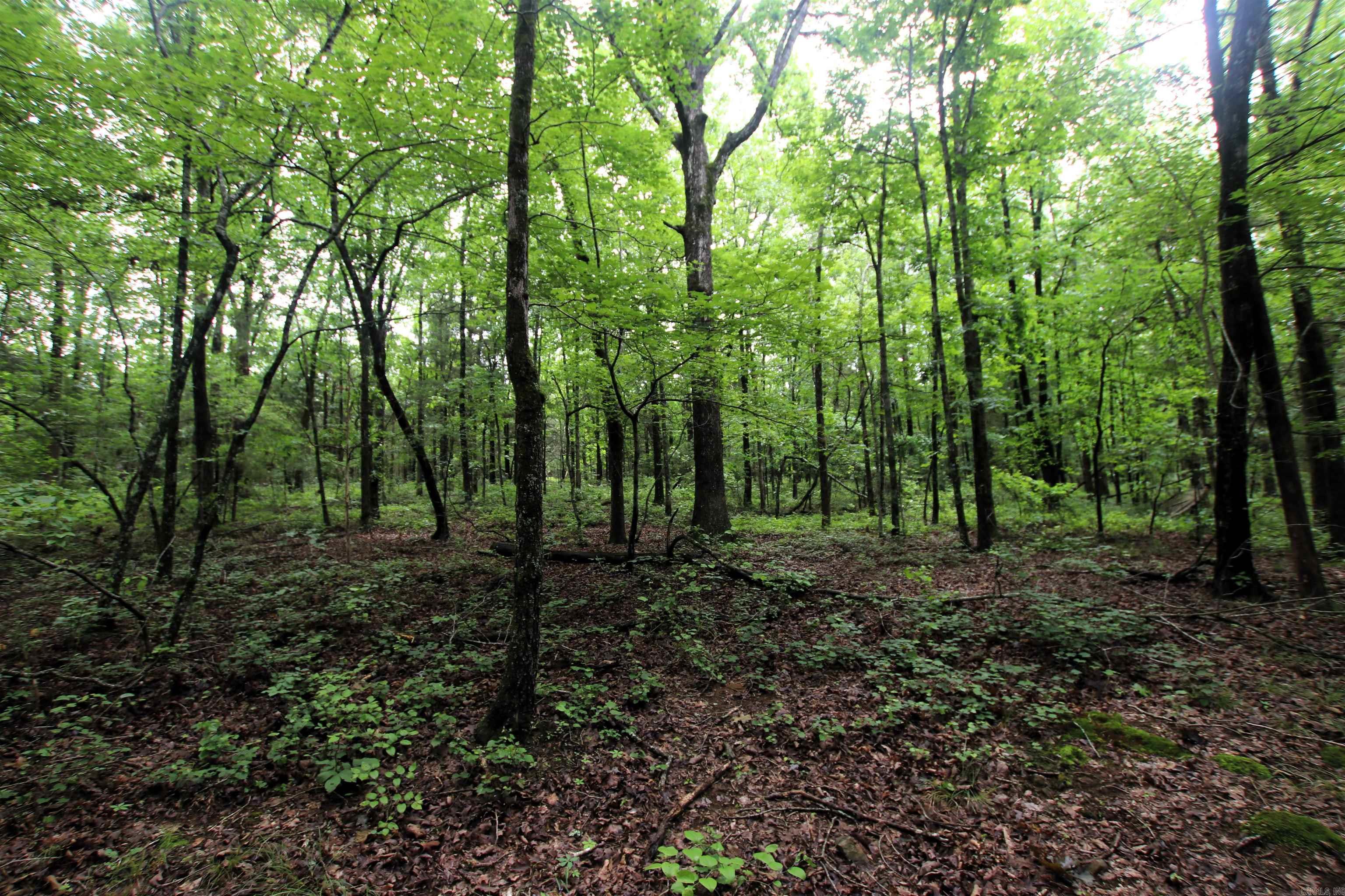 Not in Subdivision - Land