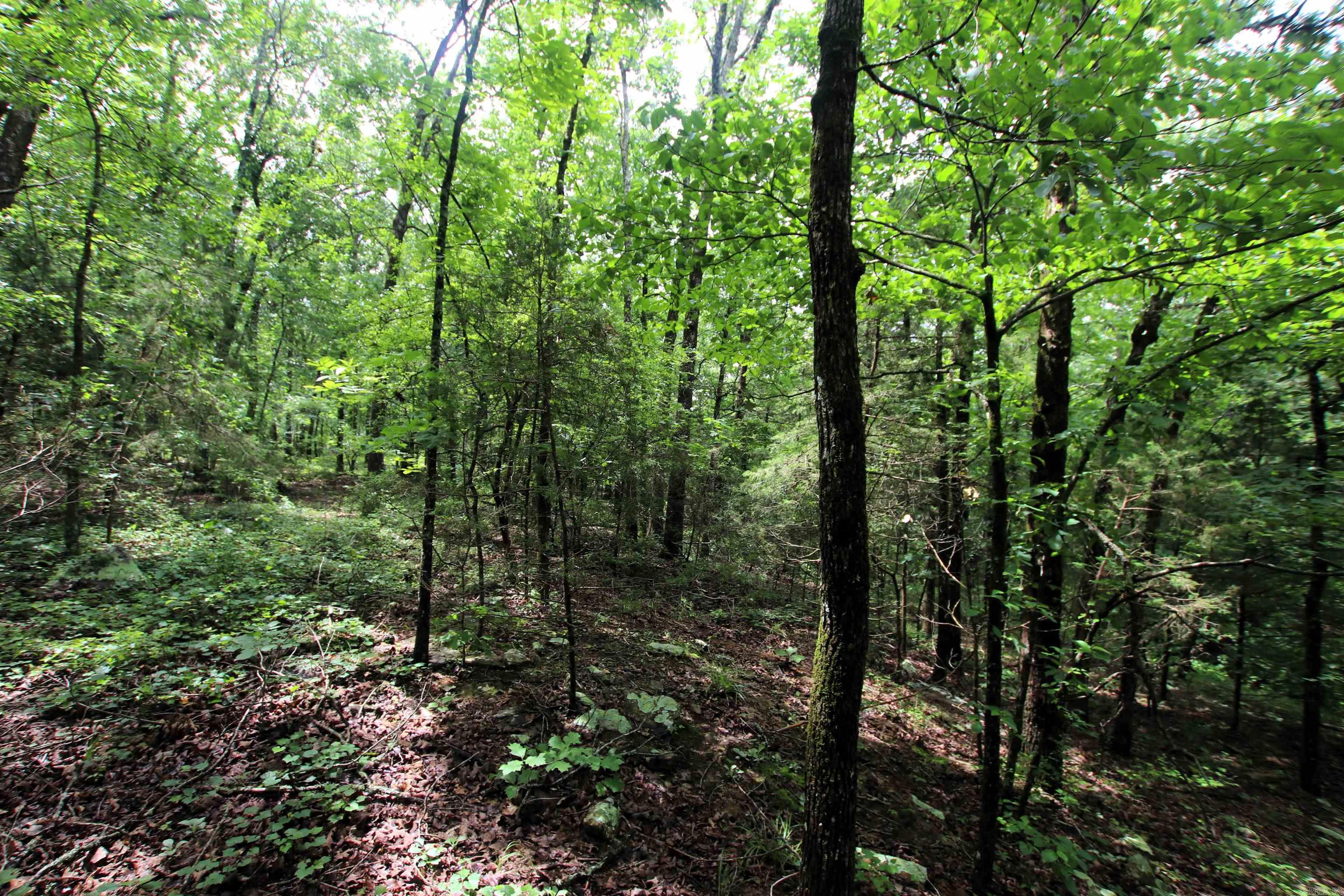 Not in Subdivision - Land