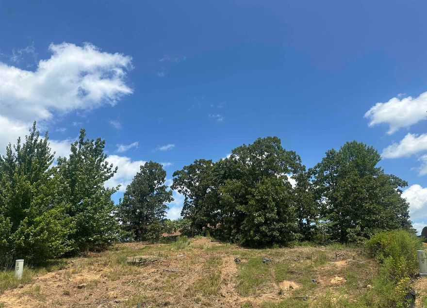 Cul de sac lot to build your custom home!!! Nice quiet area with no through traffic. See plat and bill of assurance on docsonline for lot dimensions. See agent notes.