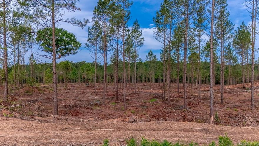 This 5 acre property is the perfect spot to build your dream home. Any site built home is approved! Livestock allowed. There will be minimal deed restrictions. No mobile homes allowed. Clear the trees or leave them for privacy. You will have the ability to make this property exactly what you want. Great school district.