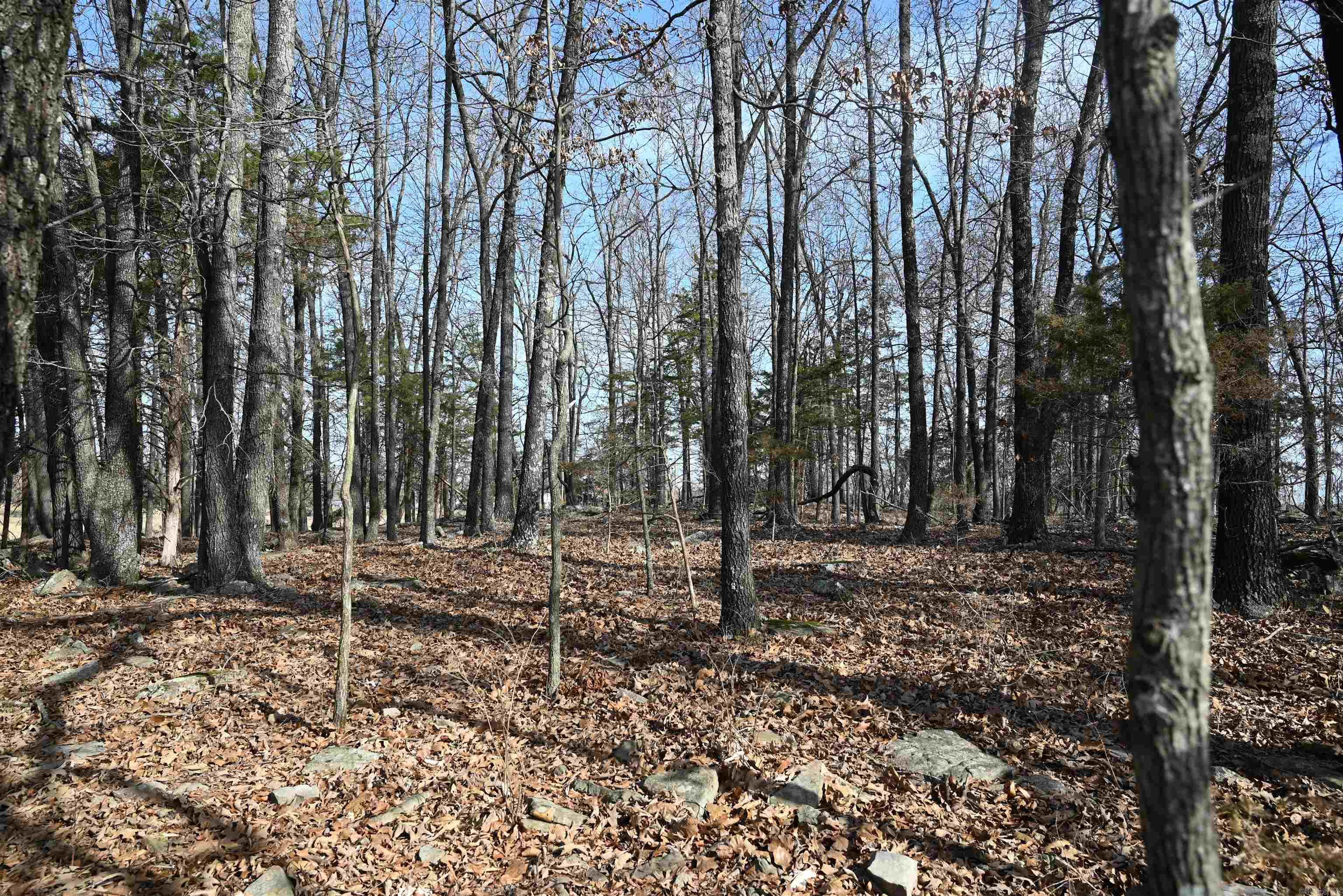 Metes & Bounds - Farm