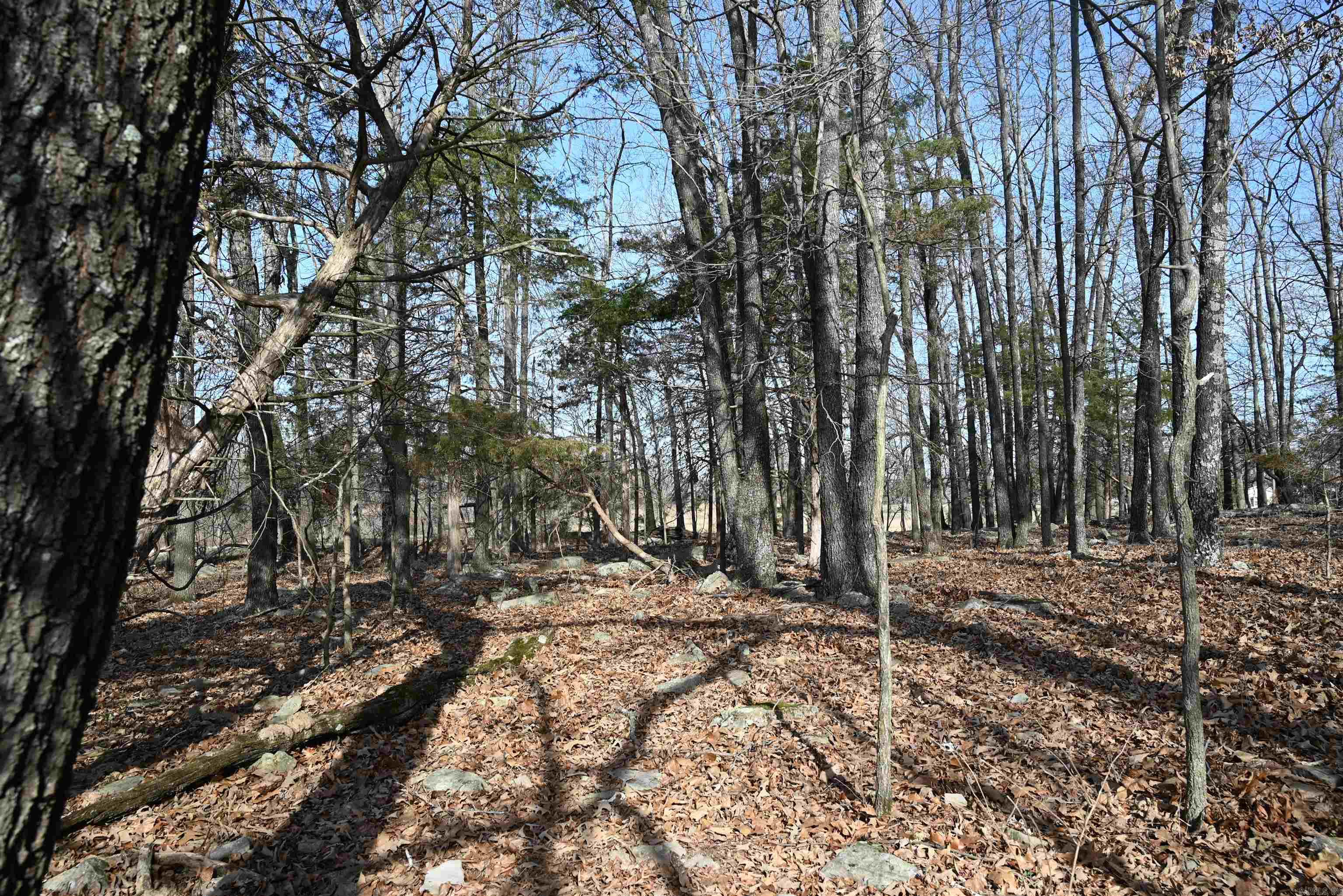 Metes & Bounds - Farm