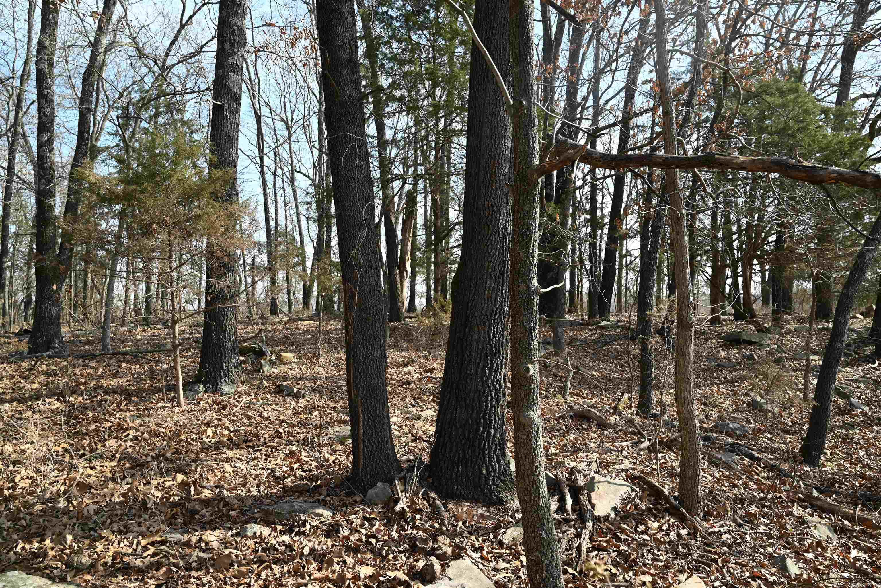 Metes & Bounds - Farm