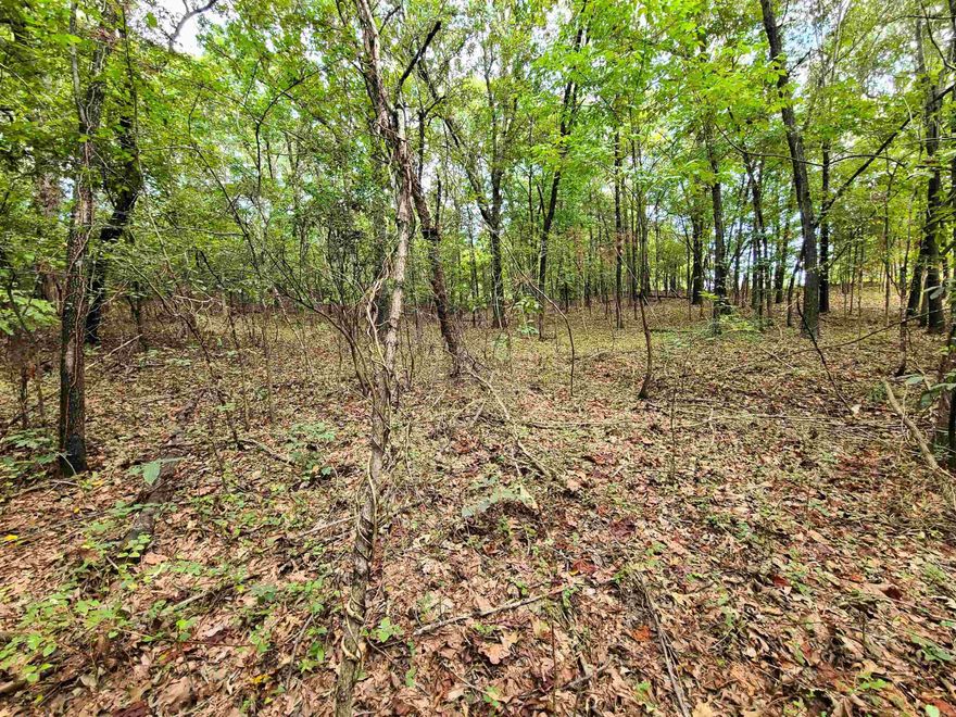 This private piece of wooded property is located on a dead-end road by Frie Lake (F&F Lake) between Piggott and Corning. The property contains 0.79 acres which was initially 3 lots. It measures 155' across the front (road frontage), 219'/231 deep and 150' across the back. There is a power pole located on the property where there was power there previously, but it is no longer connected. This property would be a great location for a hunting cabin or a home for those who enjoy country living.