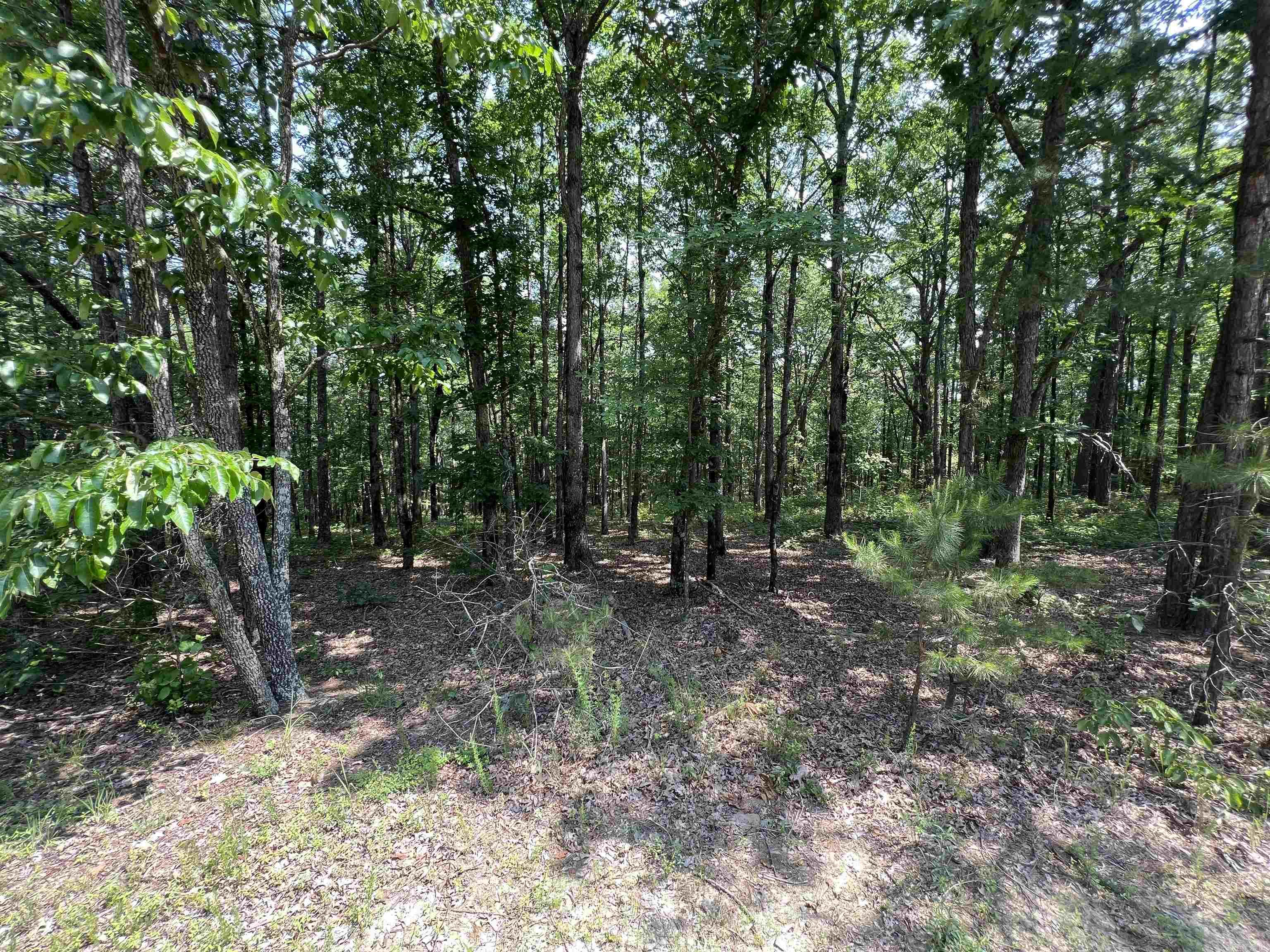 Heather Ridge - Land