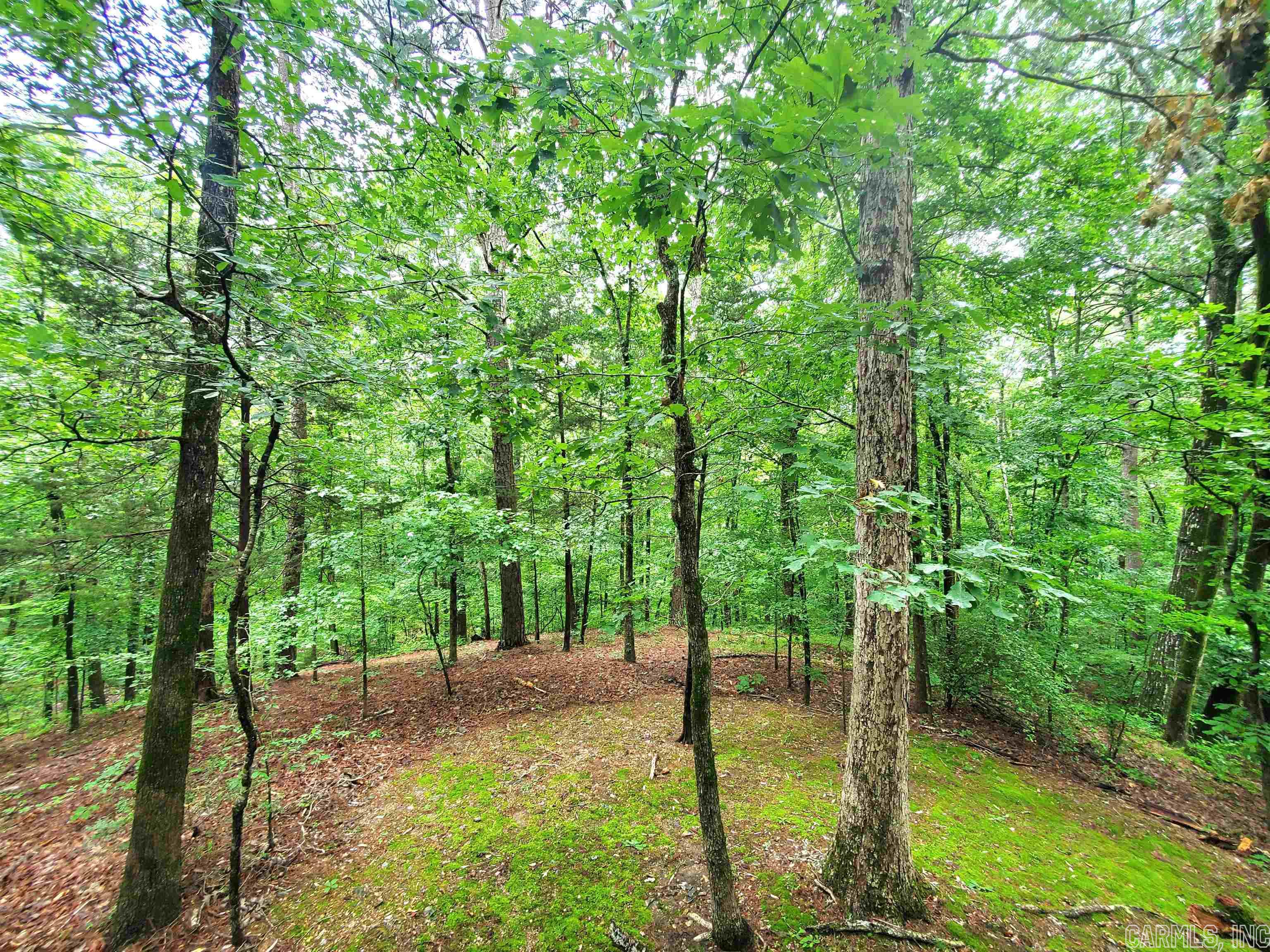 VALENCIA COURTS - Residential