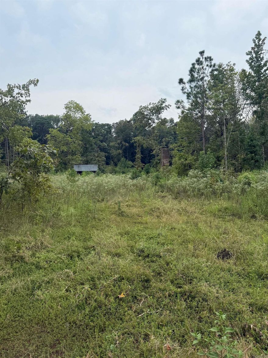 This old home place is a blank slate ready for it's new owners.  The 4.39 acres is mostly cleared and ready for new home place to be established.  It lays close to the Moon Valley Community and a great neighborhood.  Natural gas and city water are at the road. There are an old fireplace and barn on the property. Call today for showing, this one will not last long!