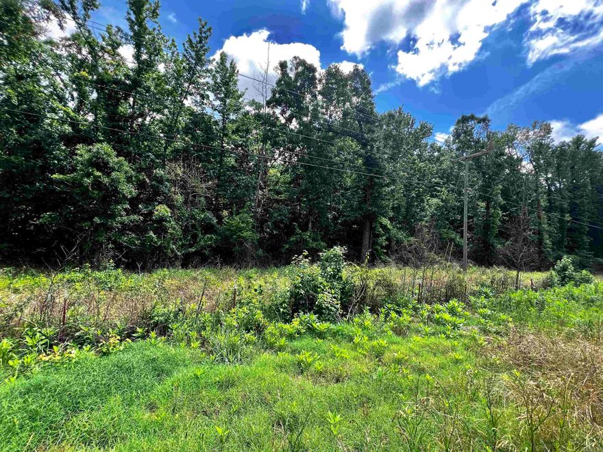 Raw land with highway frontage! Looking for 10 acres not far from town?  Want to build your home and maintain some privacy?  Don't want on a dirt road?  WELL I have good news for you!  this 10.24 acres is probably just what you are looking for.  This property is wooded with a small clearing at the back of the property.  Utilities at the road.  You are welcome to walk the property.