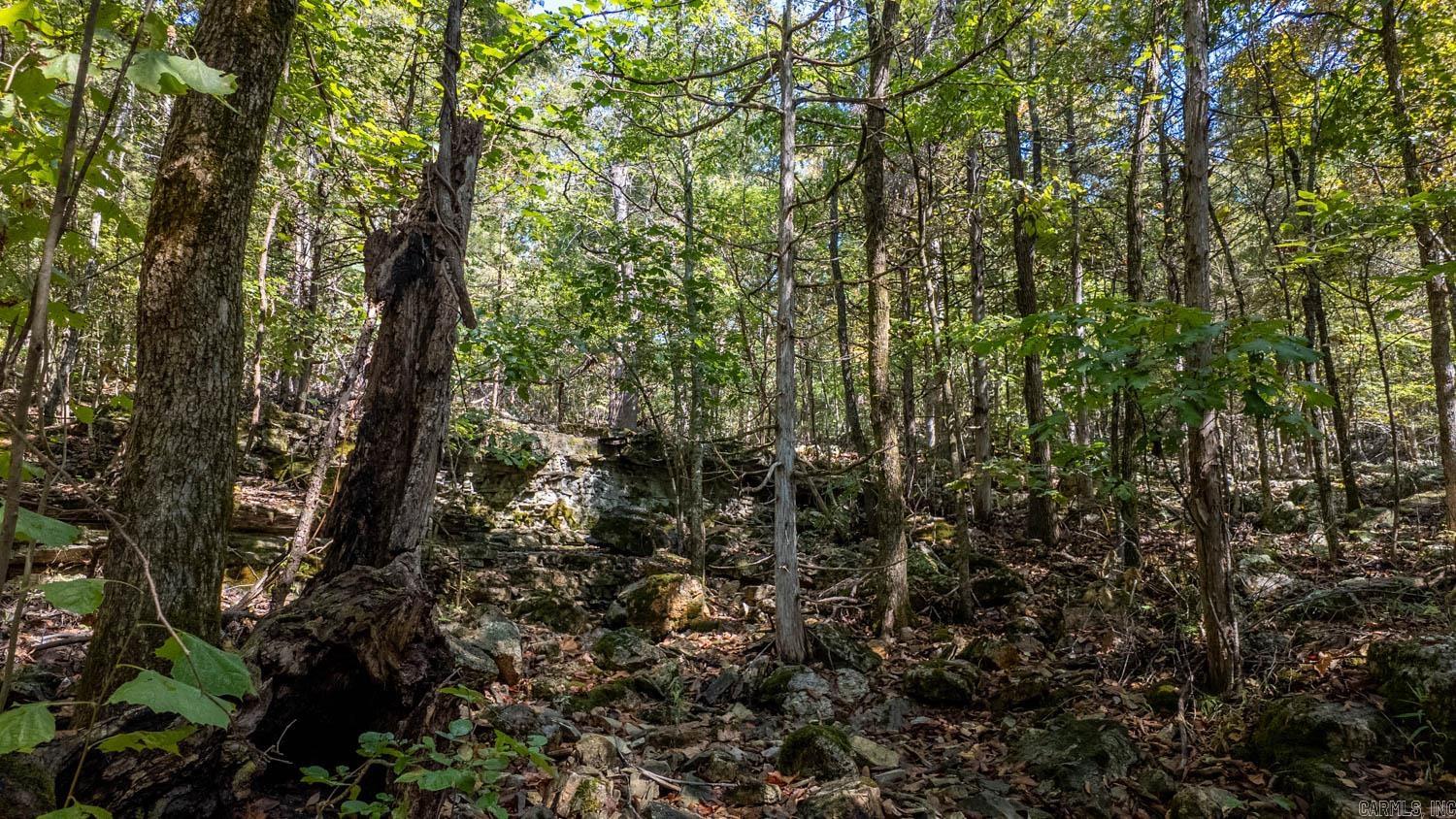 Not in Subdivision - Land